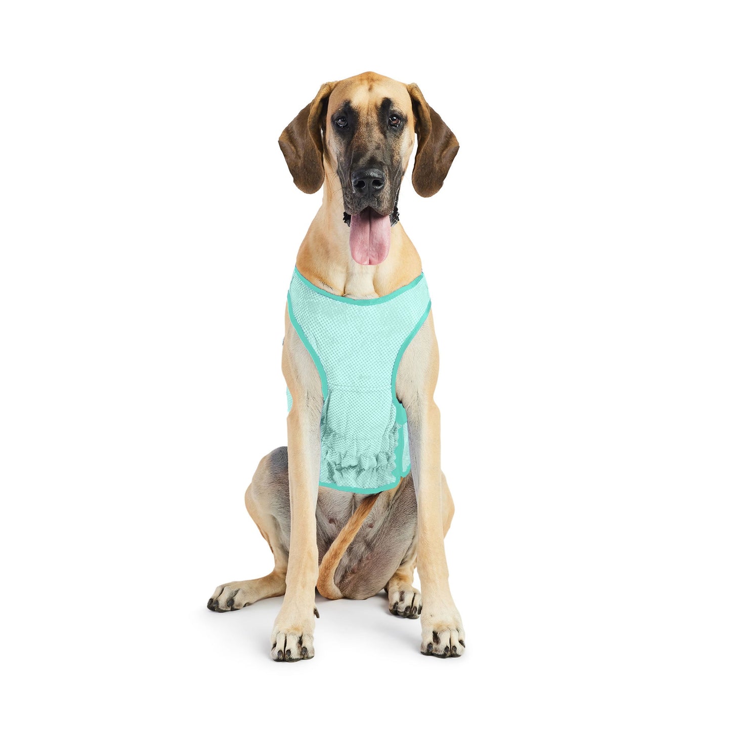 Elasto Fit Ice Vest Aqua Dog Apparel Premium Pet Supply - gallery image 12