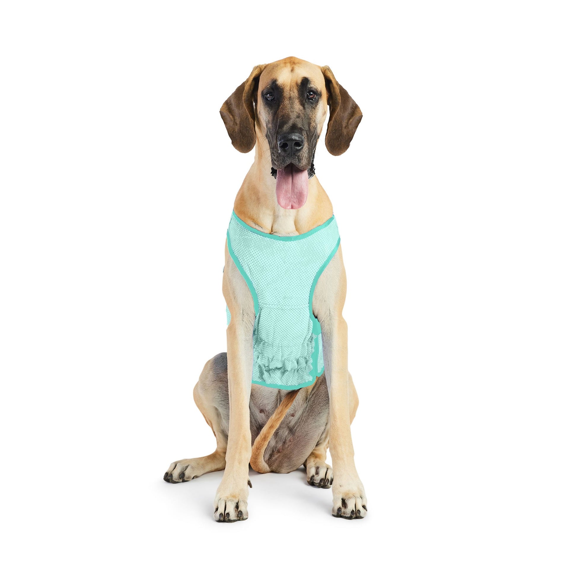 Elasto Fit Ice Vest Aqua Dog Apparel Premium Pet Supply - gallery image 12
