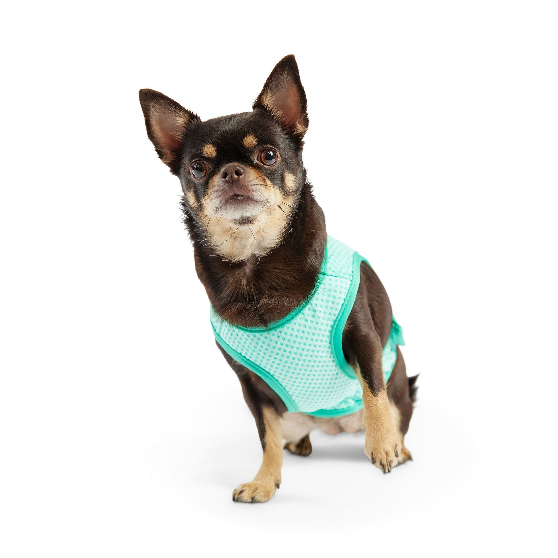 Elasto Fit Ice Vest Aqua Dog Apparel Premium Pet Supply - close up view
