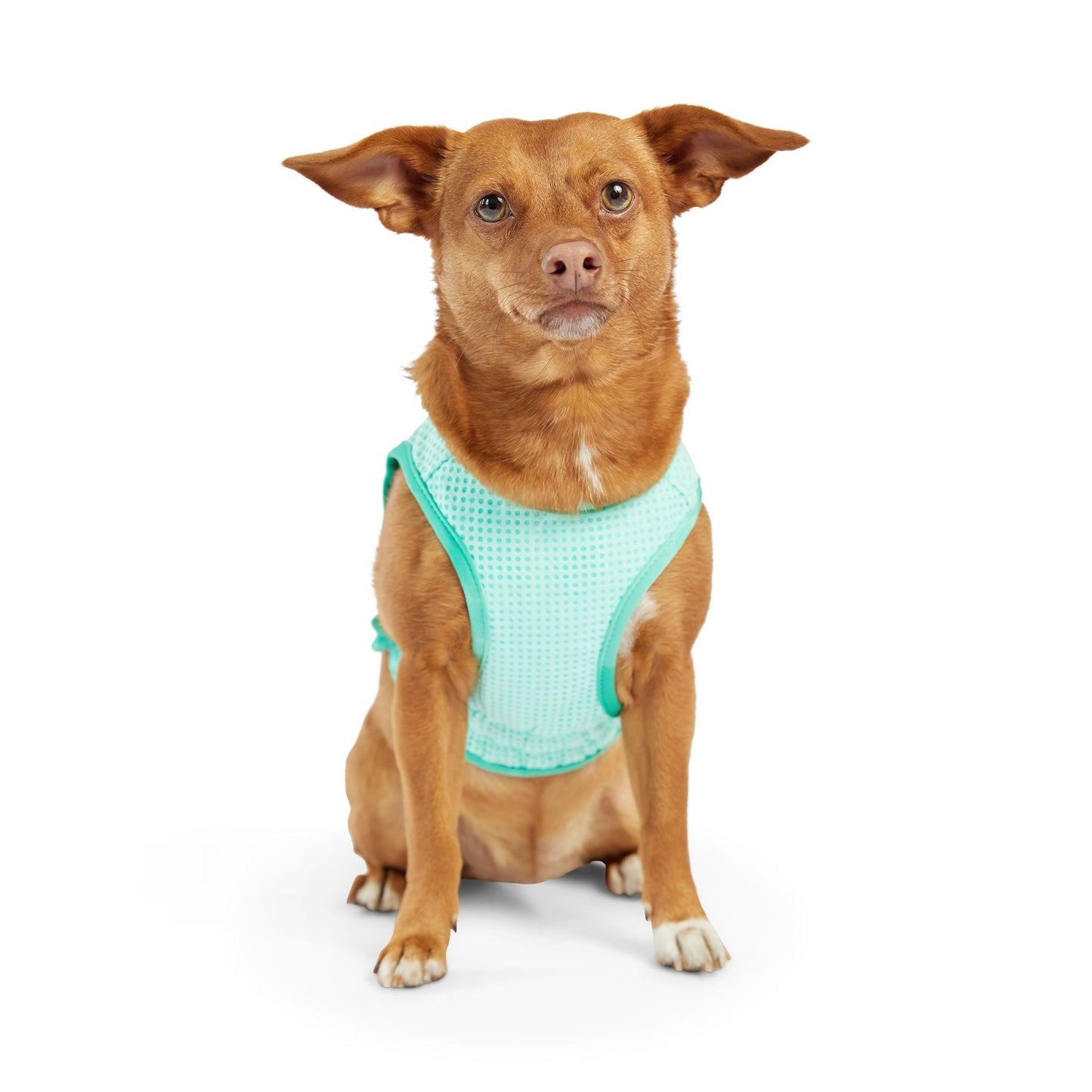 Elasto Fit Ice Vest Aqua Dog Apparel Premium Pet Supply - gallery image 5