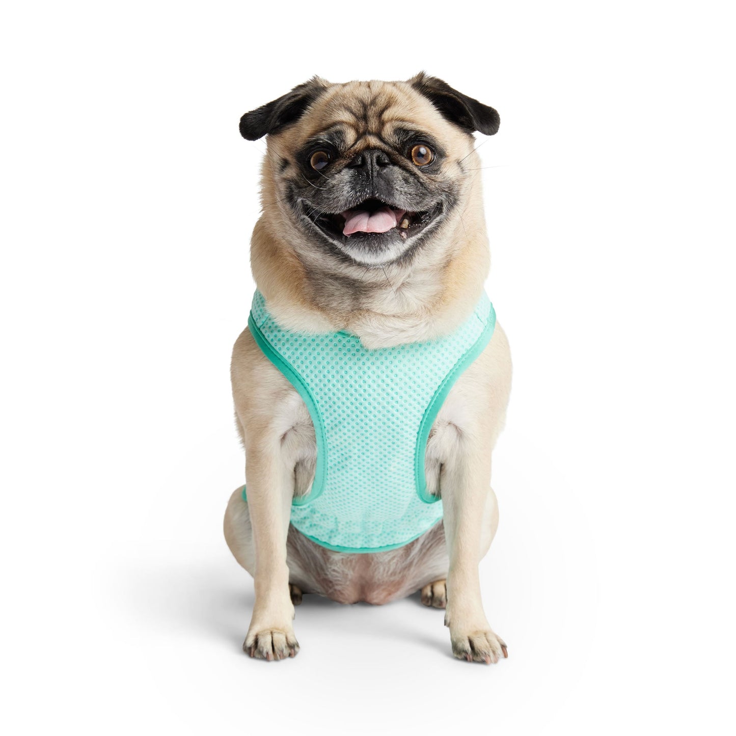 Elasto Fit Ice Vest Aqua Dog Apparel Premium Pet Supply - gallery image 6