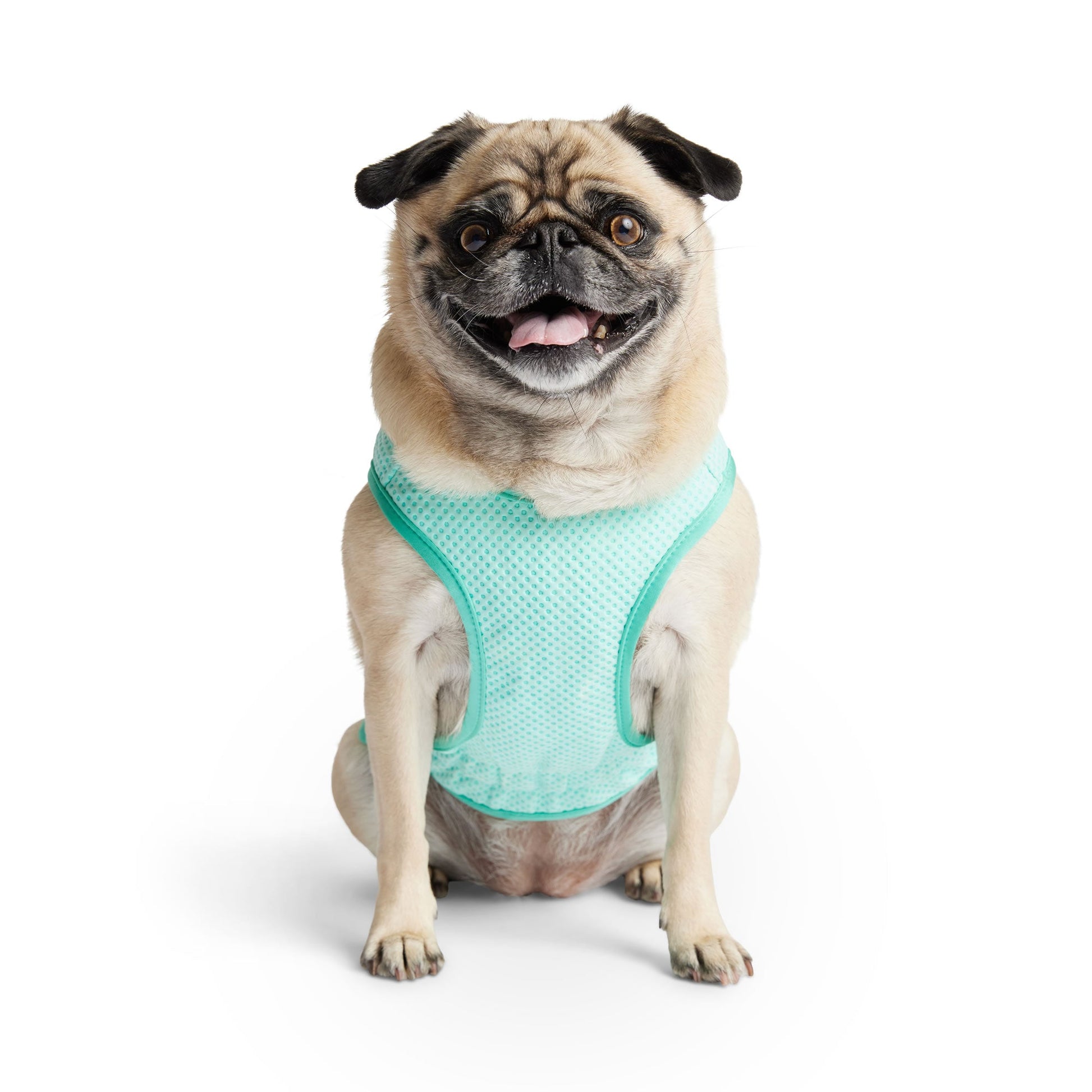 Elasto Fit Ice Vest Aqua Dog Apparel Premium Pet Supply - gallery image 6