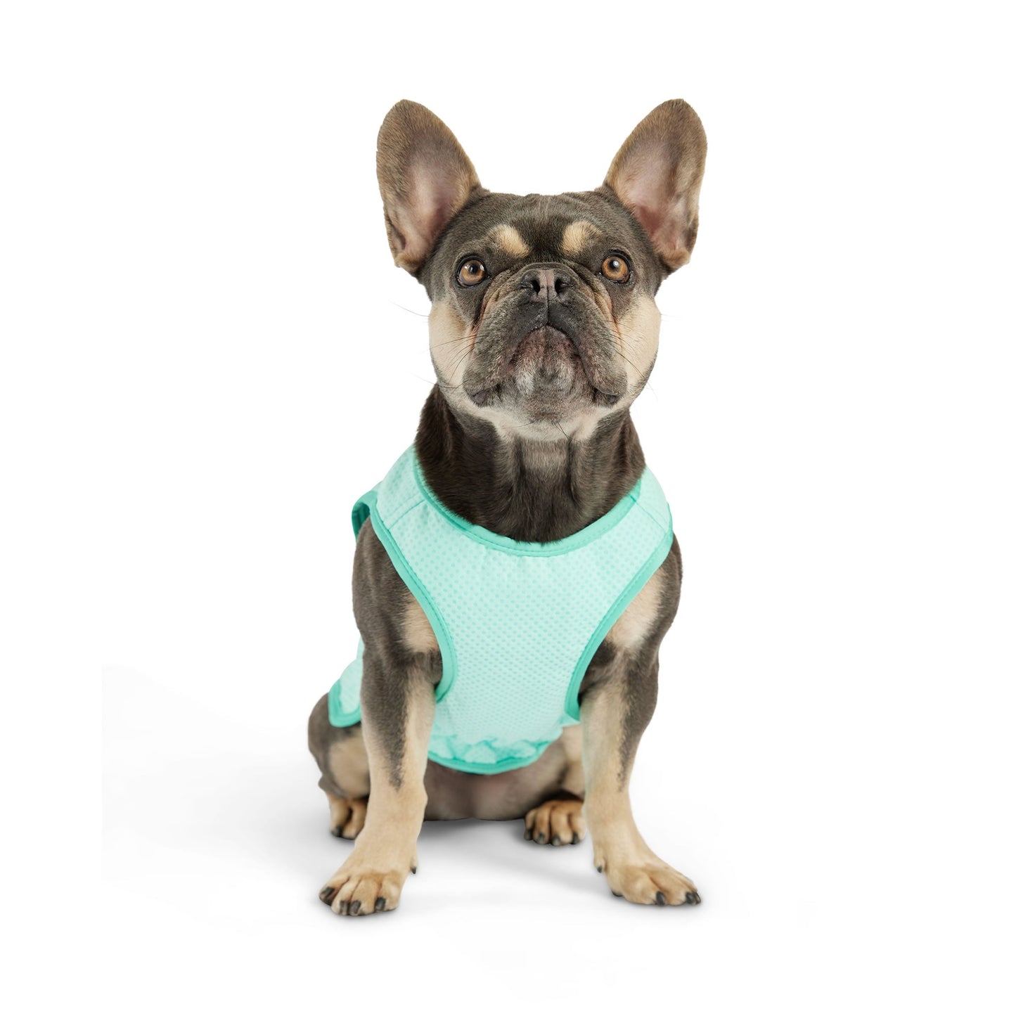 Elasto Fit Ice Vest Aqua Dog Apparel Premium Pet Supply - gallery image 7