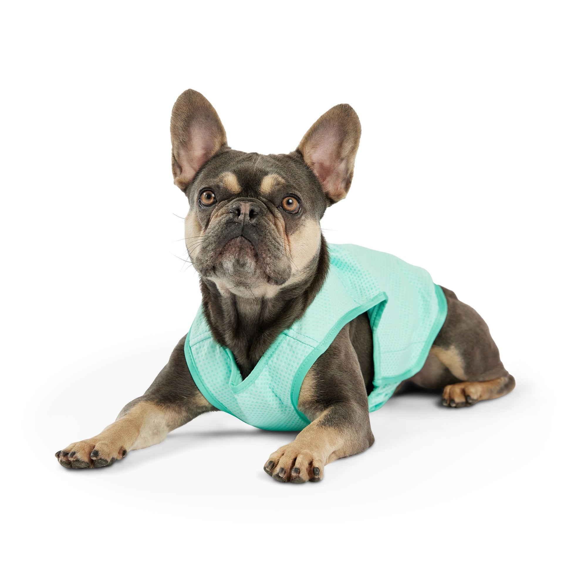Elasto Fit Ice Vest Aqua Dog Apparel Premium Pet Supply - gallery image 8