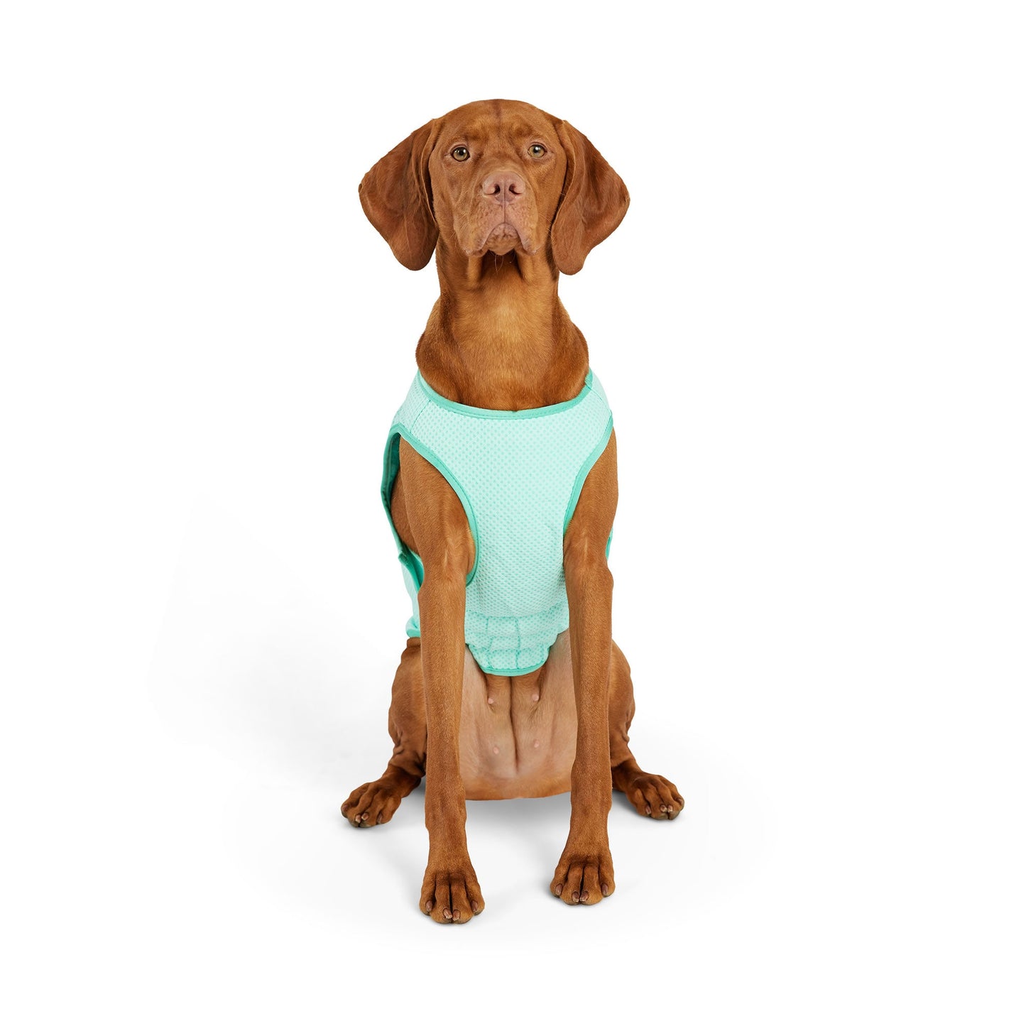 Elasto Fit Ice Vest Aqua Dog Apparel Premium Pet Supply - gallery image 9