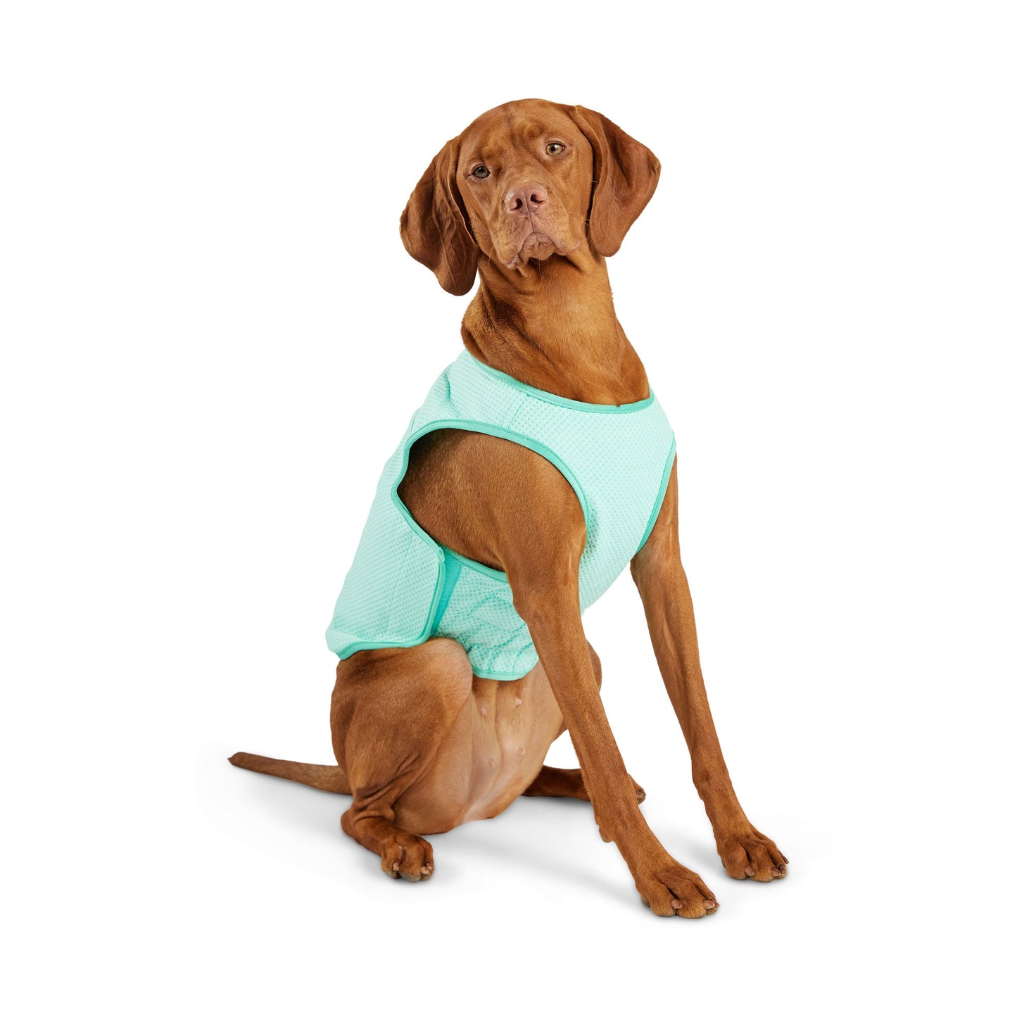 Elasto Fit Ice Vest Aqua Dog Apparel Premium Pet Supply - main product image