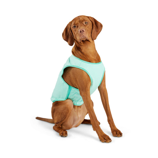 Elasto Fit Ice Vest Aqua Dog Apparel Premium Pet Supply - main product image