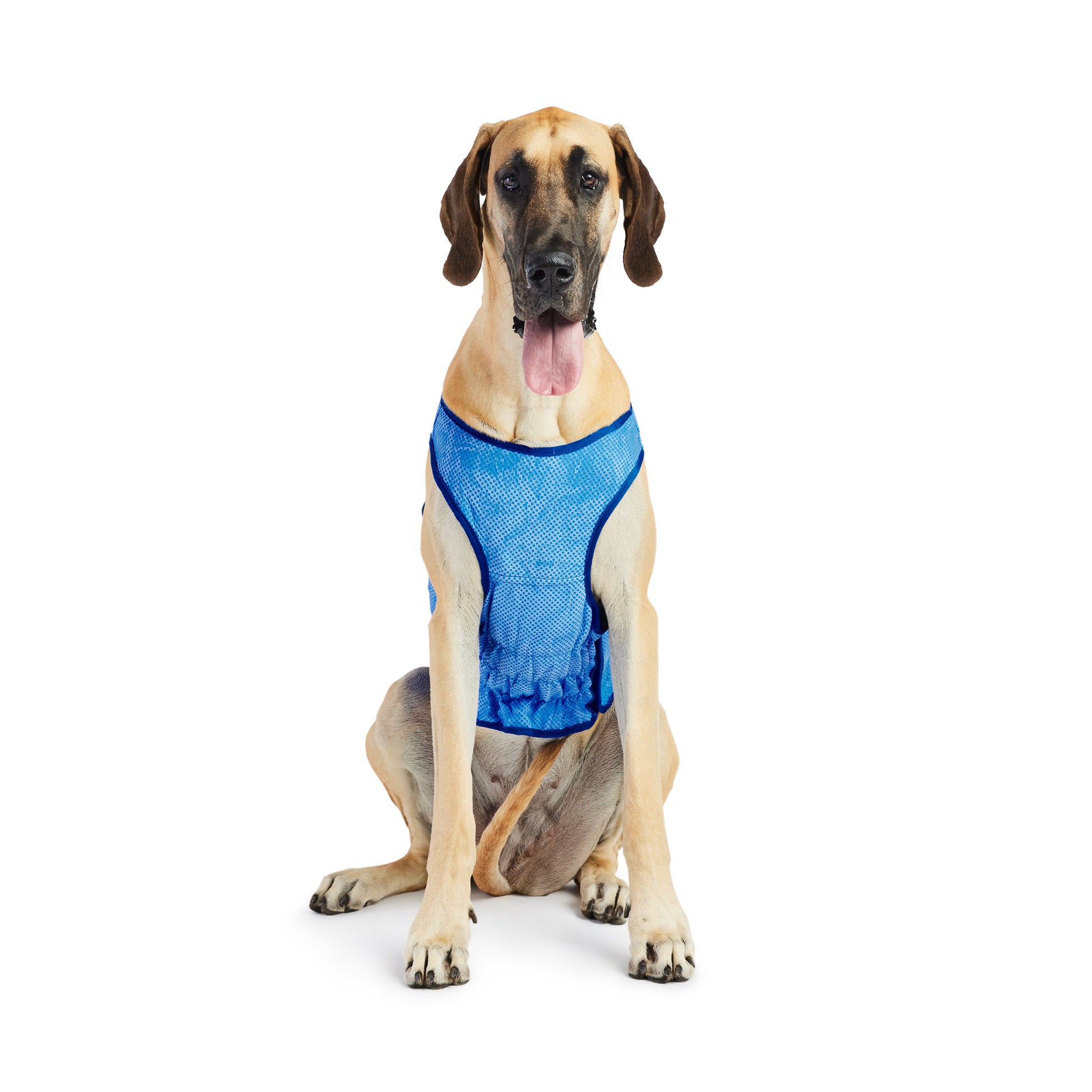 Elasto Fit Ice Vest Blue Dog Apparel Premium Pet Supply - close up view