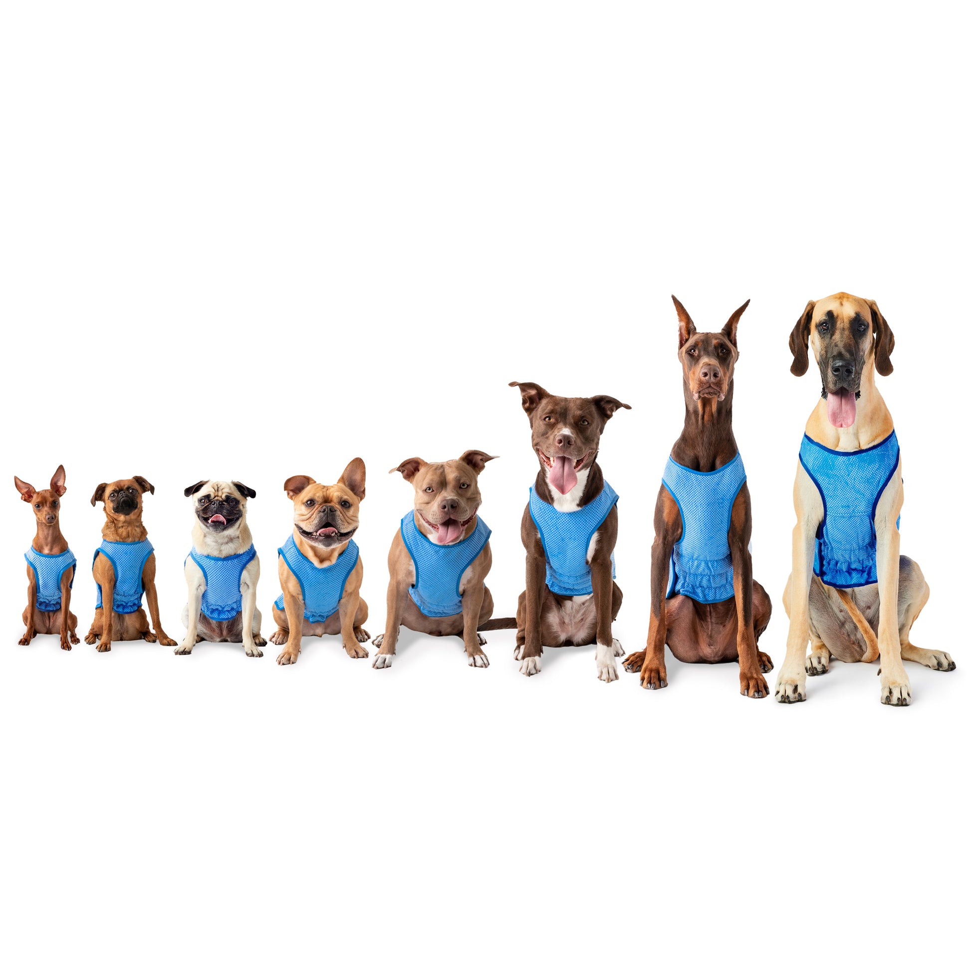 Elasto Fit Ice Vest Blue Dog Apparel Premium Pet Supply - gallery image 5