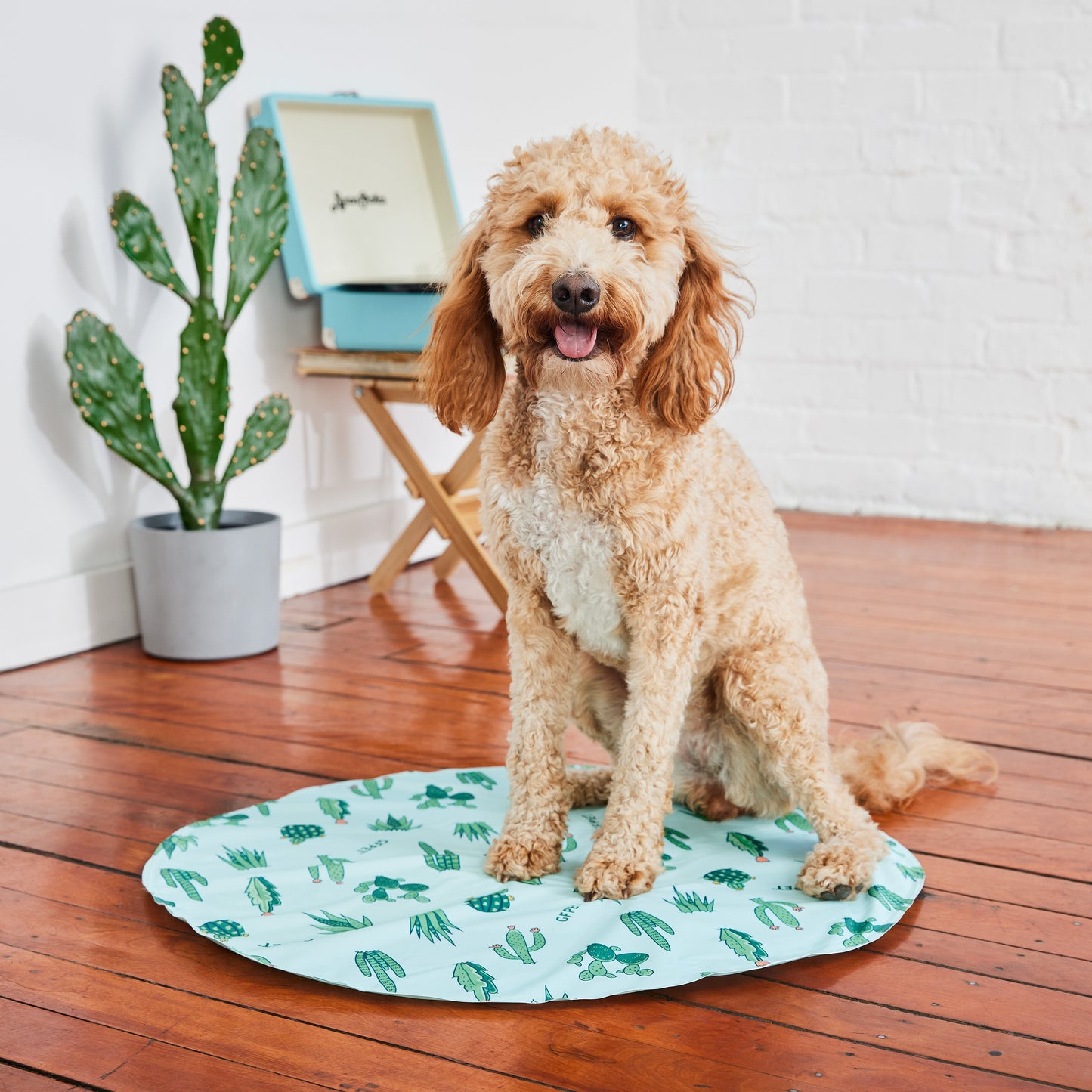 Dog Cooling Products Adjustable Classic Premium Pet Supply - gallery image 5