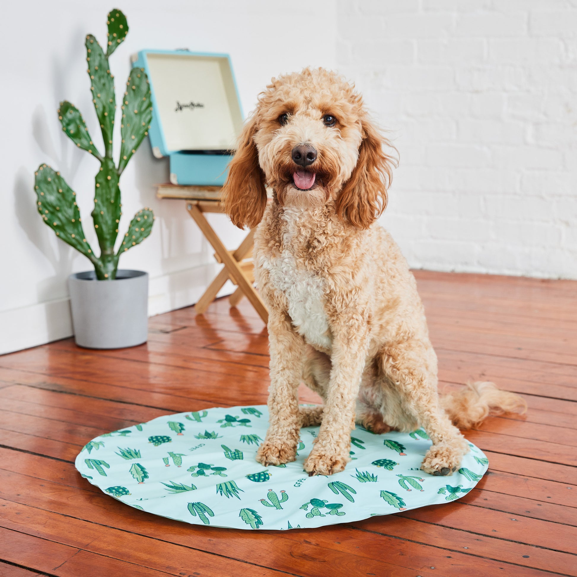 Dog Cooling Products Adjustable Classic Premium Pet Supply - gallery image 5