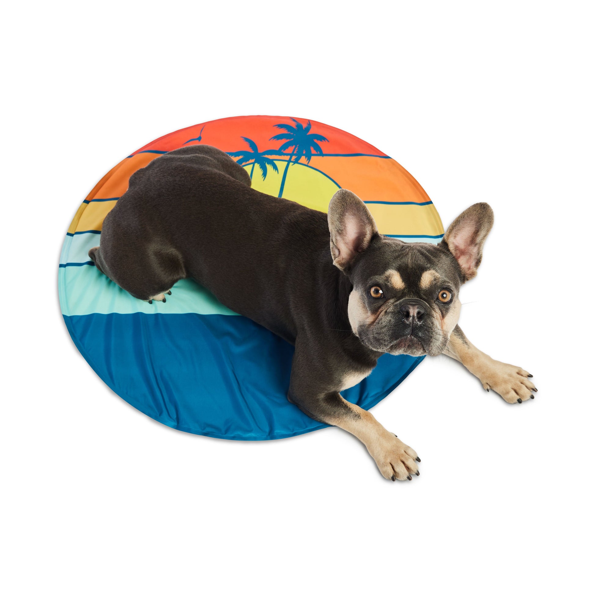 Dog Cooling Products Adjustable Classic Premium Pet Supply - gallery image 8