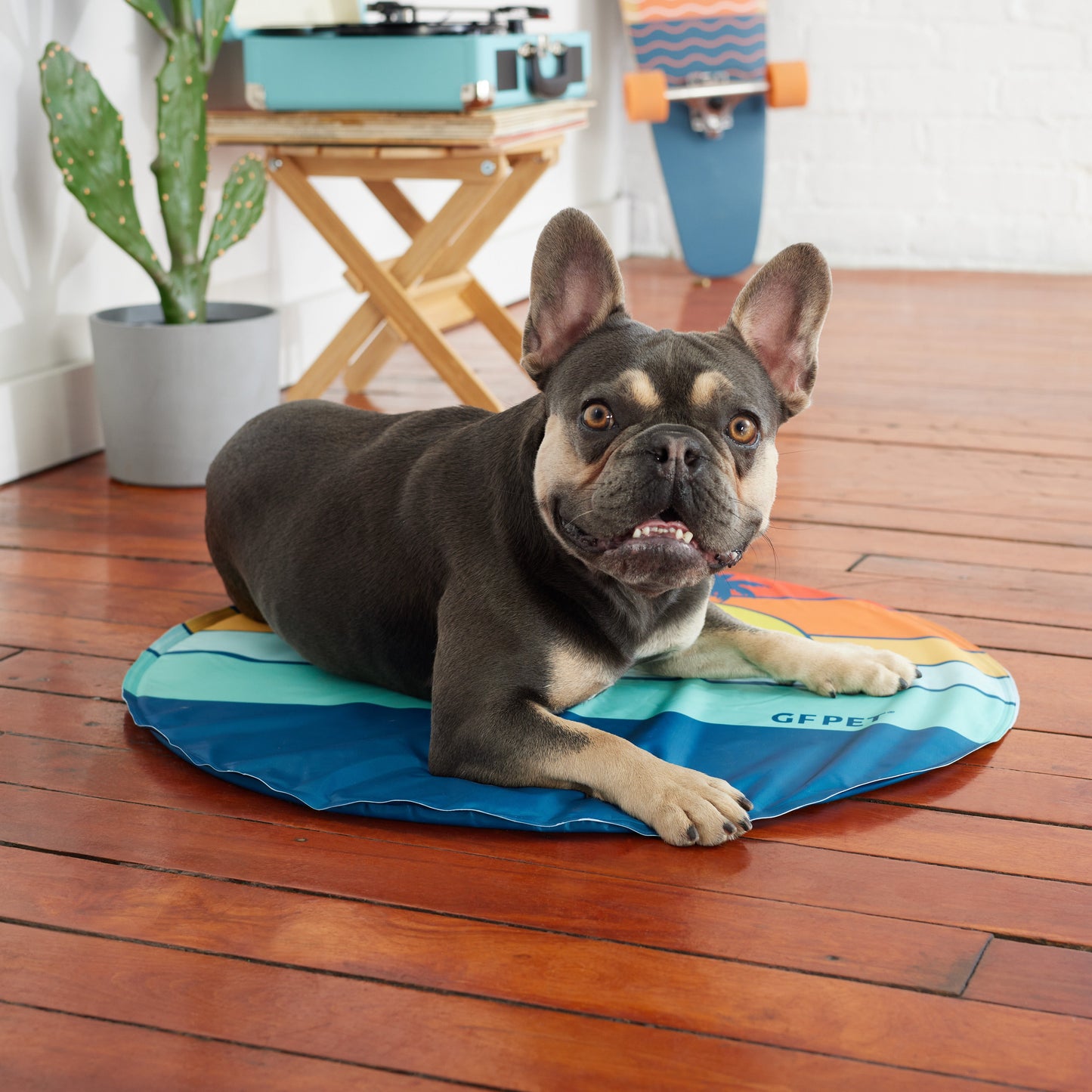 Dog Cooling Products Adjustable Classic Premium Pet Supply - gallery image 9
