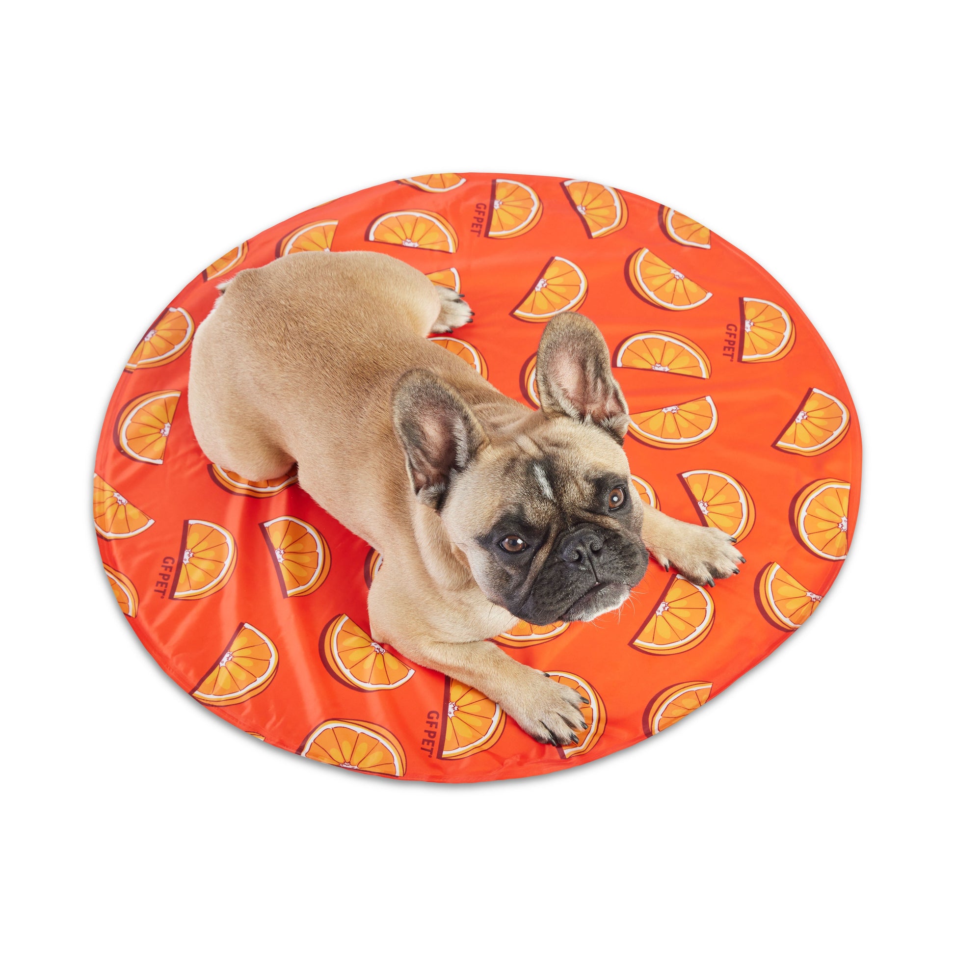 Dog Cooling Products Adjustable Classic Premium Pet Supply - gallery image 10