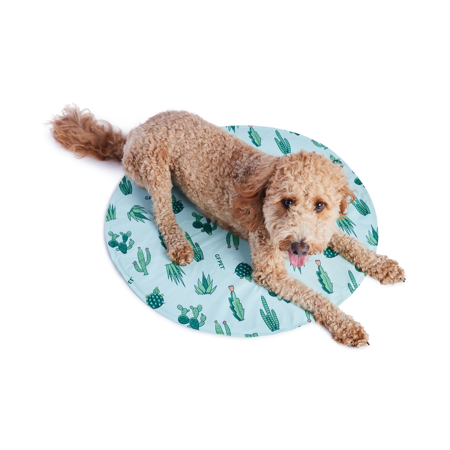 Dog Cooling Products Adjustable Classic Premium Pet Supply - close up view