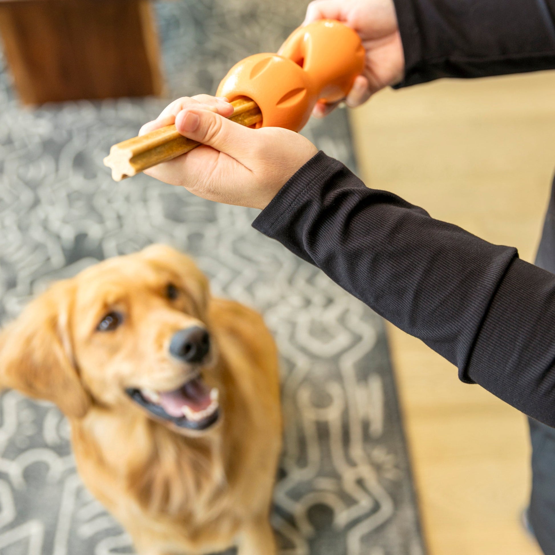 Dog Treats Natural Dental Sticks Small Daily Chews - gallery image 9