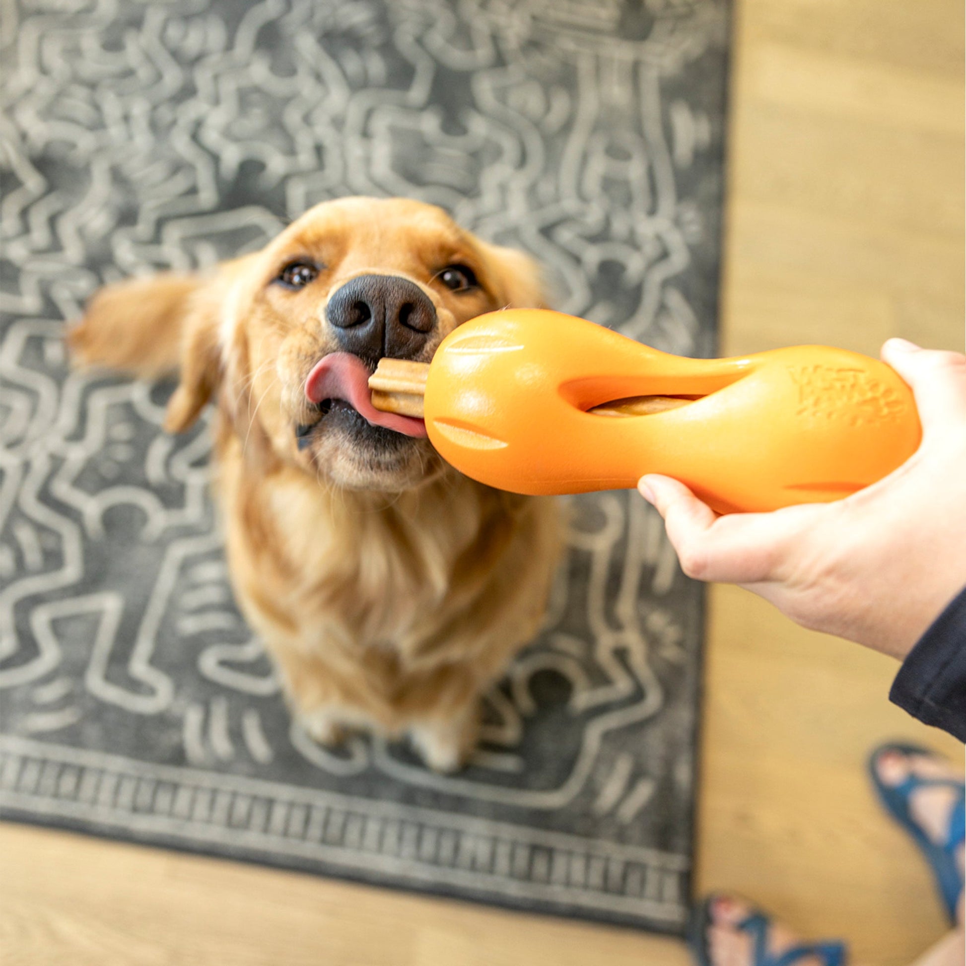 Dog Treats Natural Dental Sticks Small Daily Chews - gallery image 10