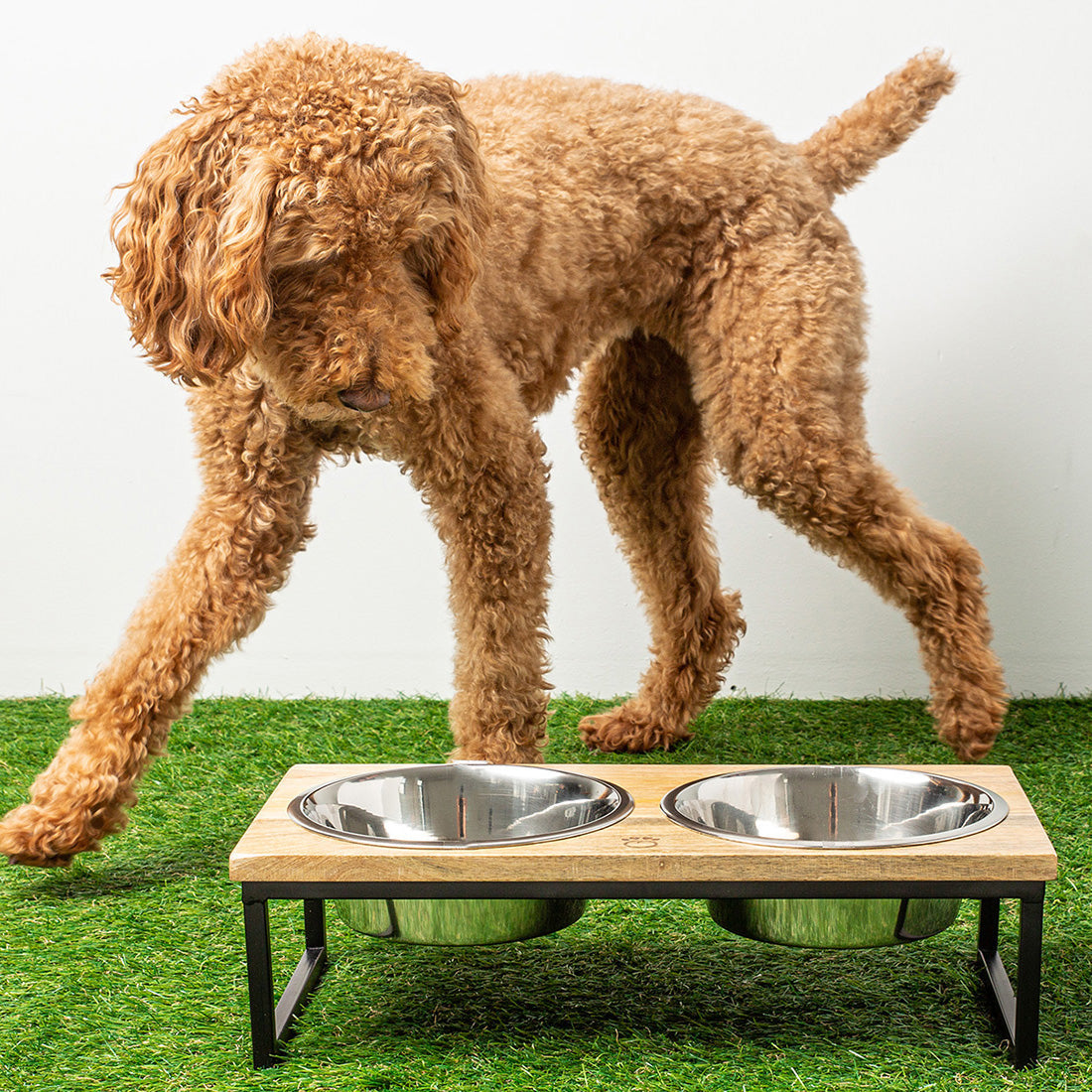 Wood Metal Elevated Feeder Pet Feeding Hydration Supply - lifestyle view