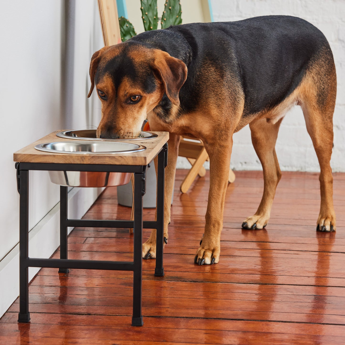 Wood Metal Elevated Feeder Pet Feeding Hydration Supply - gallery image 11