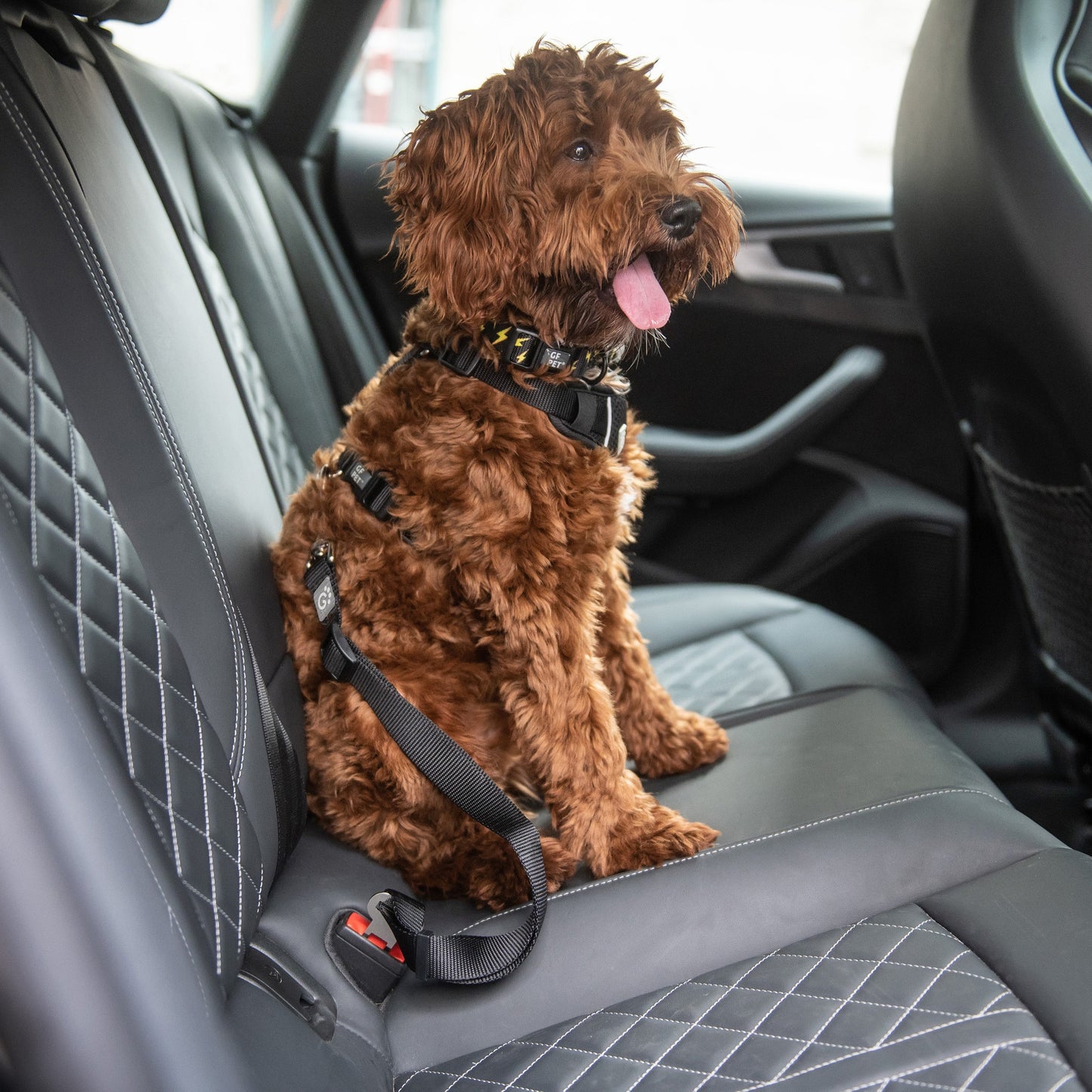 Pet Seat Belt Tether Dog Travel Accessories Premium Pet - detail view