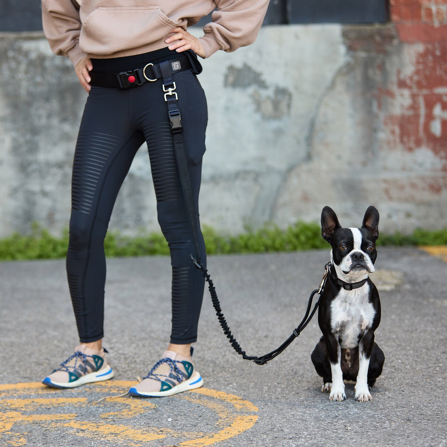 Waist Belt Bungee Leash Adjustable Dog Walking Gear Premium - detail view