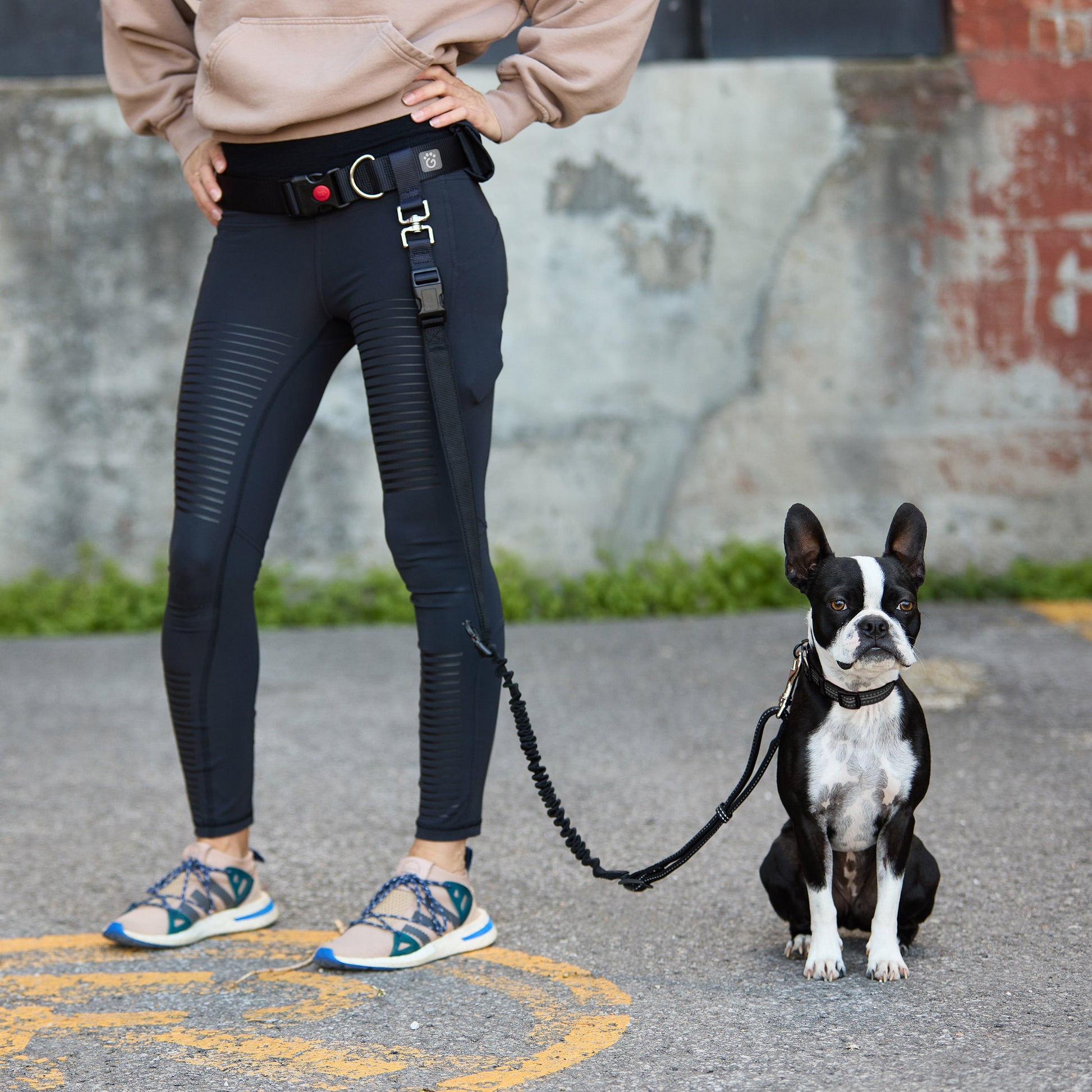 Waist Belt Bungee Leash Adjustable Dog Walking Gear Premium - detail view