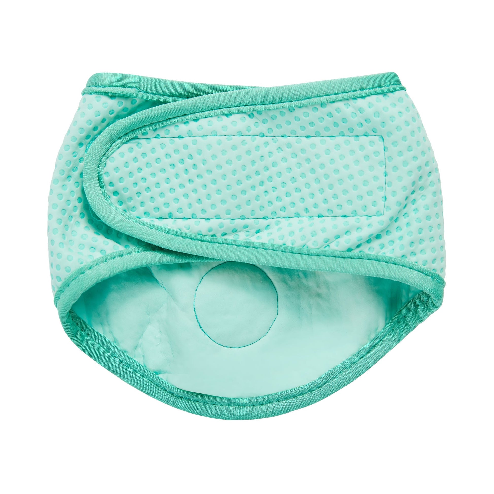 Dog Bandanas Adjustable Aqua Premium Pet Supply Premium Pet - lifestyle view