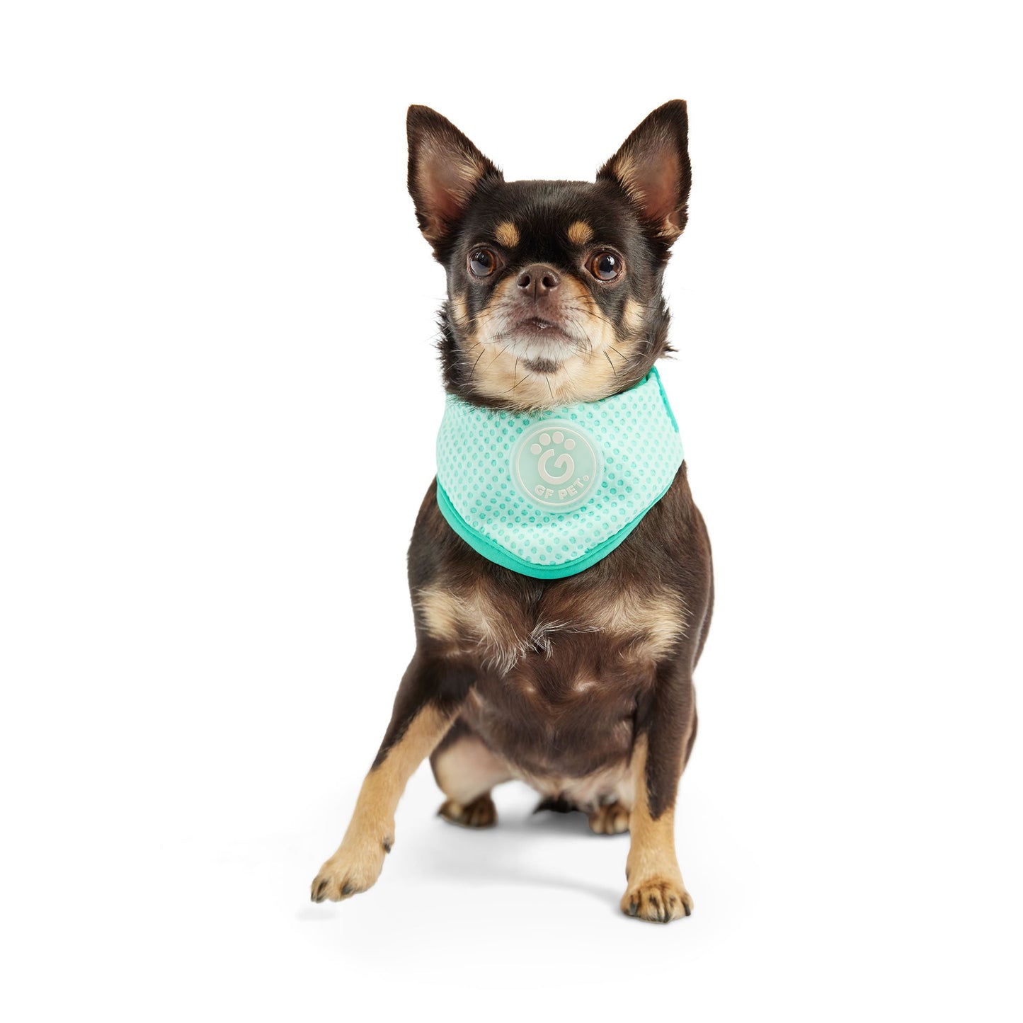Dog Bandanas Adjustable Aqua Premium Pet Supply Premium Pet - close up view