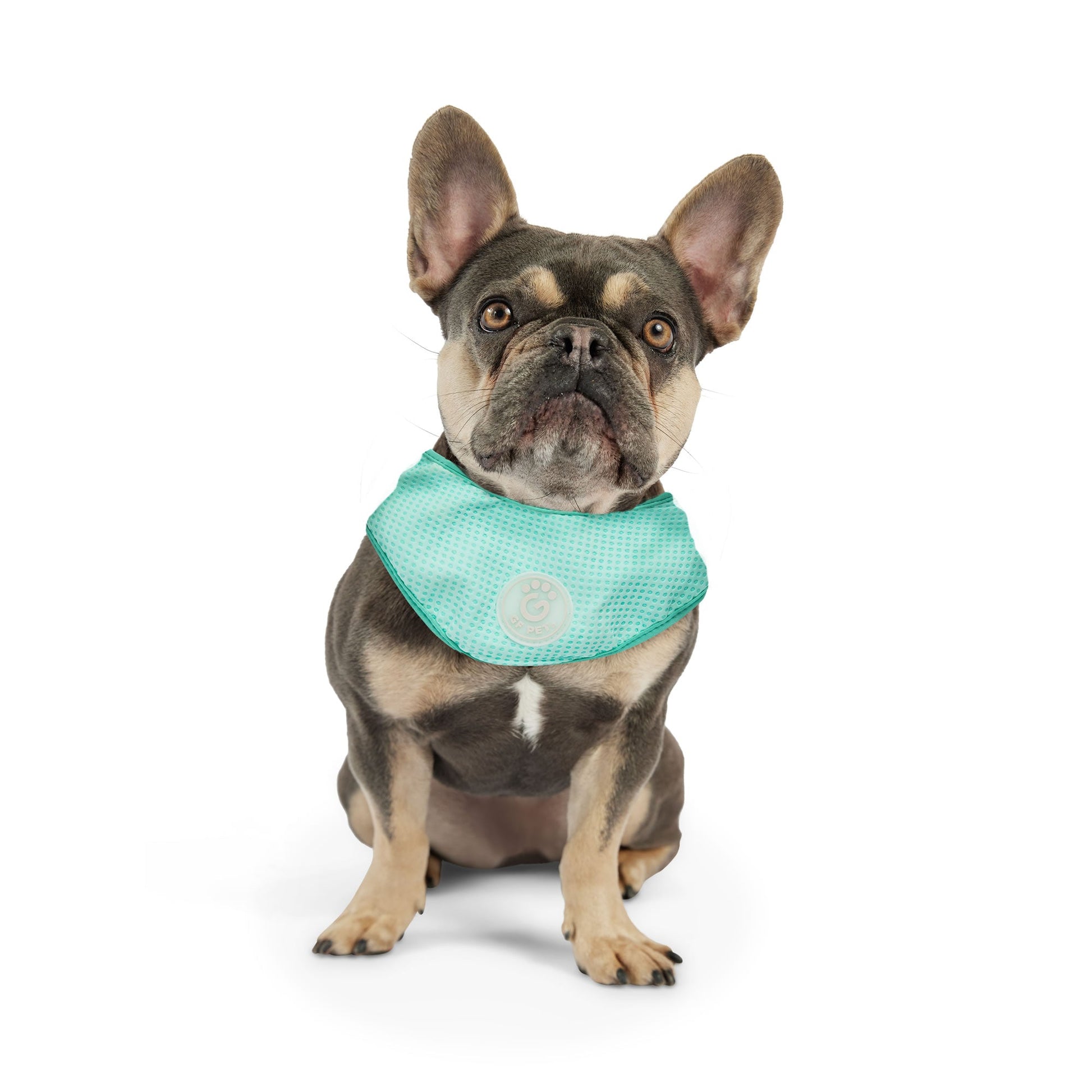 Dog Bandanas Adjustable Aqua Premium Pet Supply Premium Pet - gallery image 5