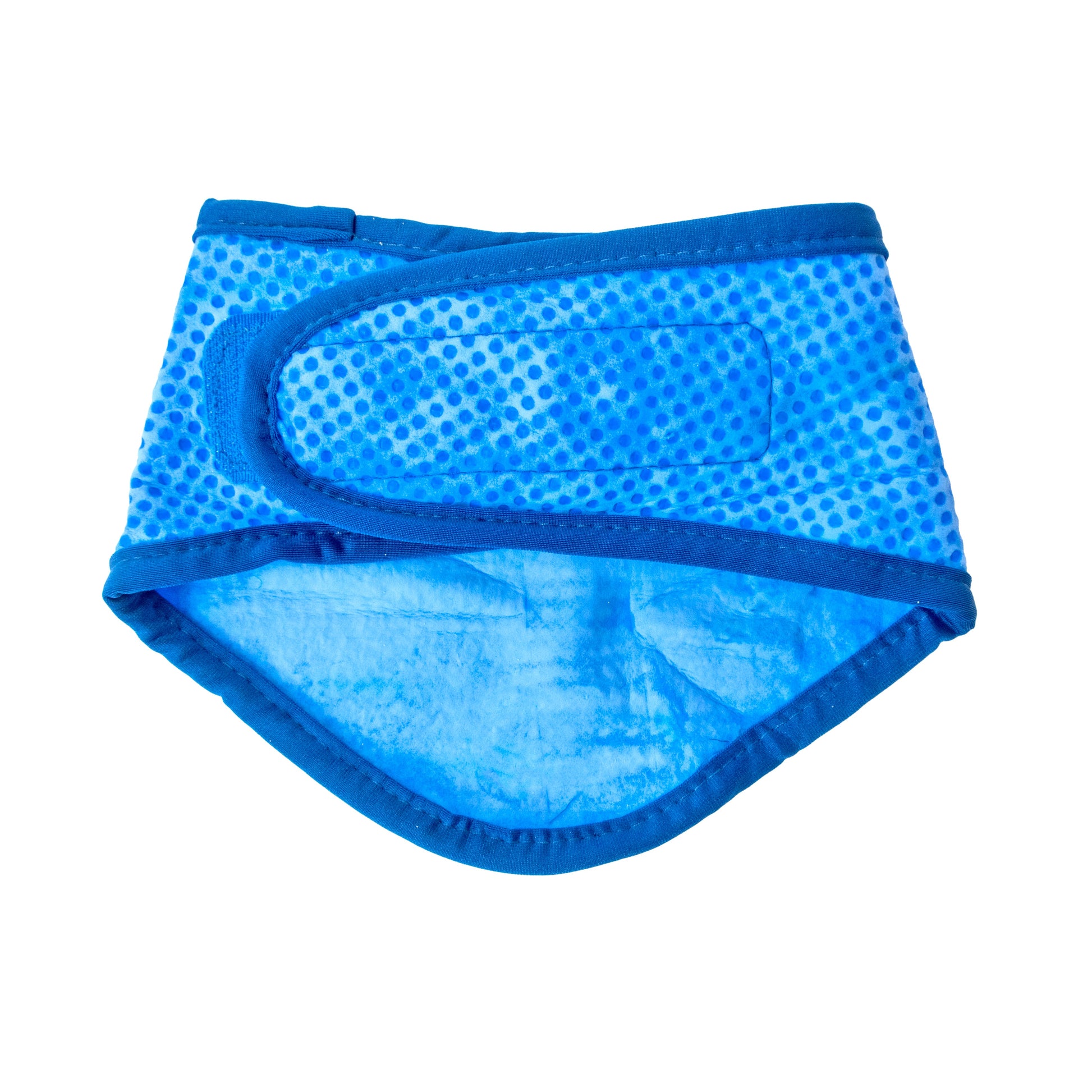 Dog Bandanas Adjustable Blue Premium Pet Supply Premium Pet - lifestyle view