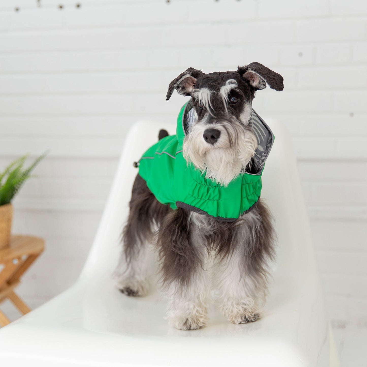 Reversible Elasto Fit Raincoat Green Dog Apparel Premium Pet - detail view