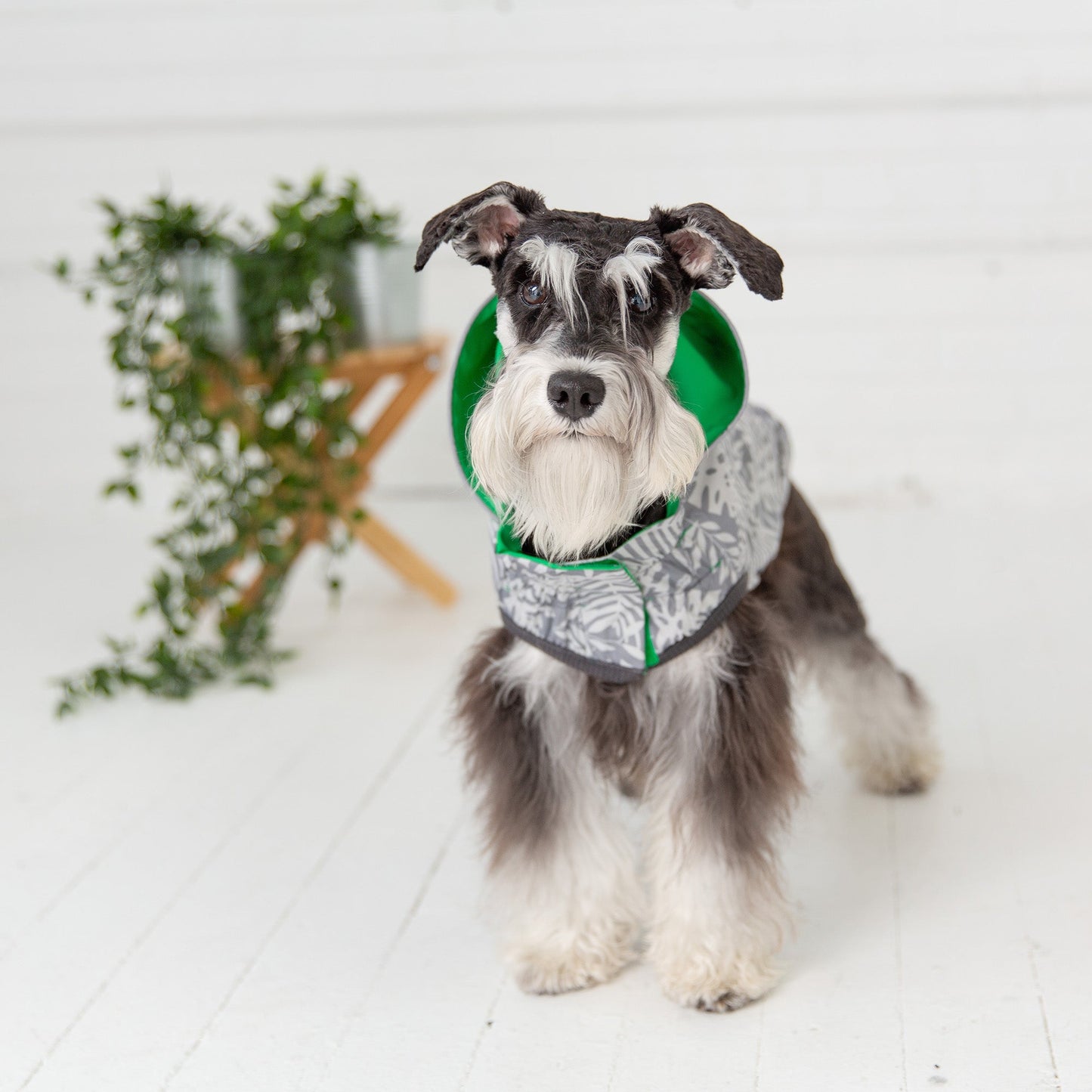Reversible Elasto Fit Raincoat Green Dog Apparel Premium Pet - gallery image 5