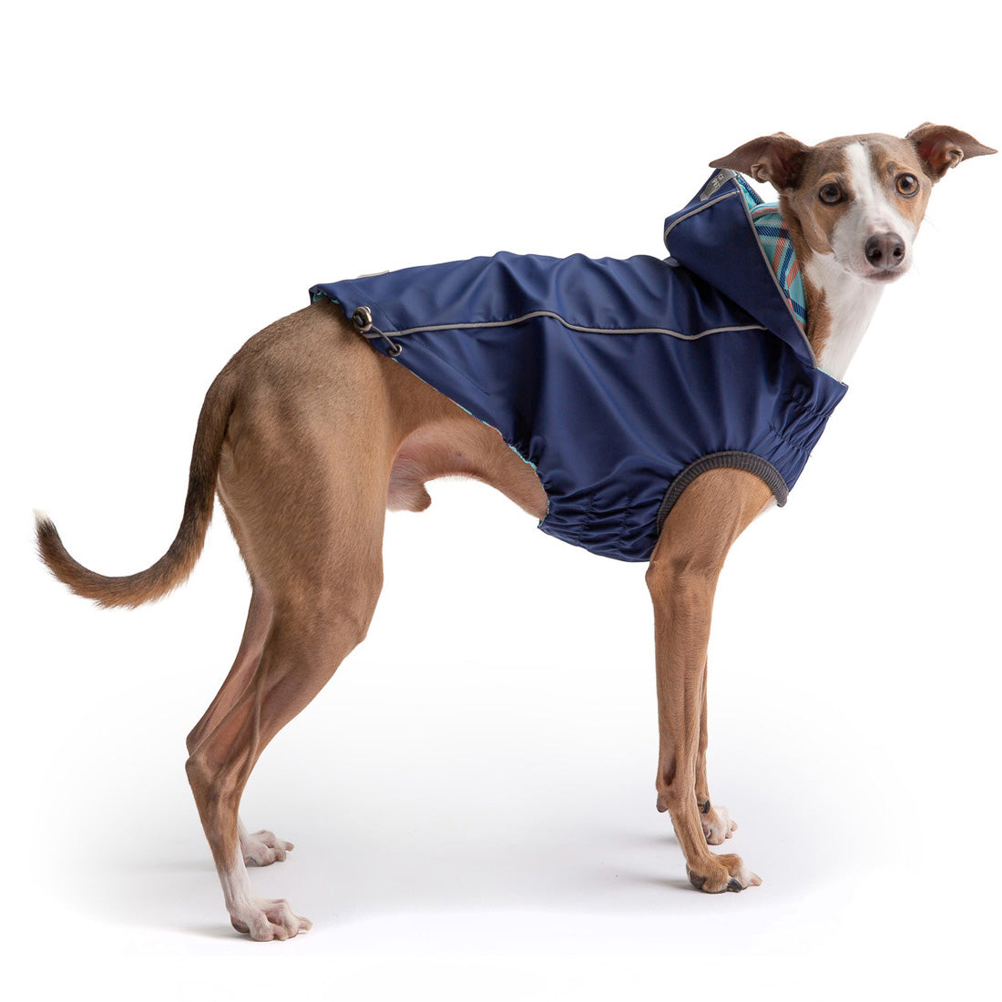 Reversible Elasto Fit Raincoat Navy Dog Raincoats Premium - detail view