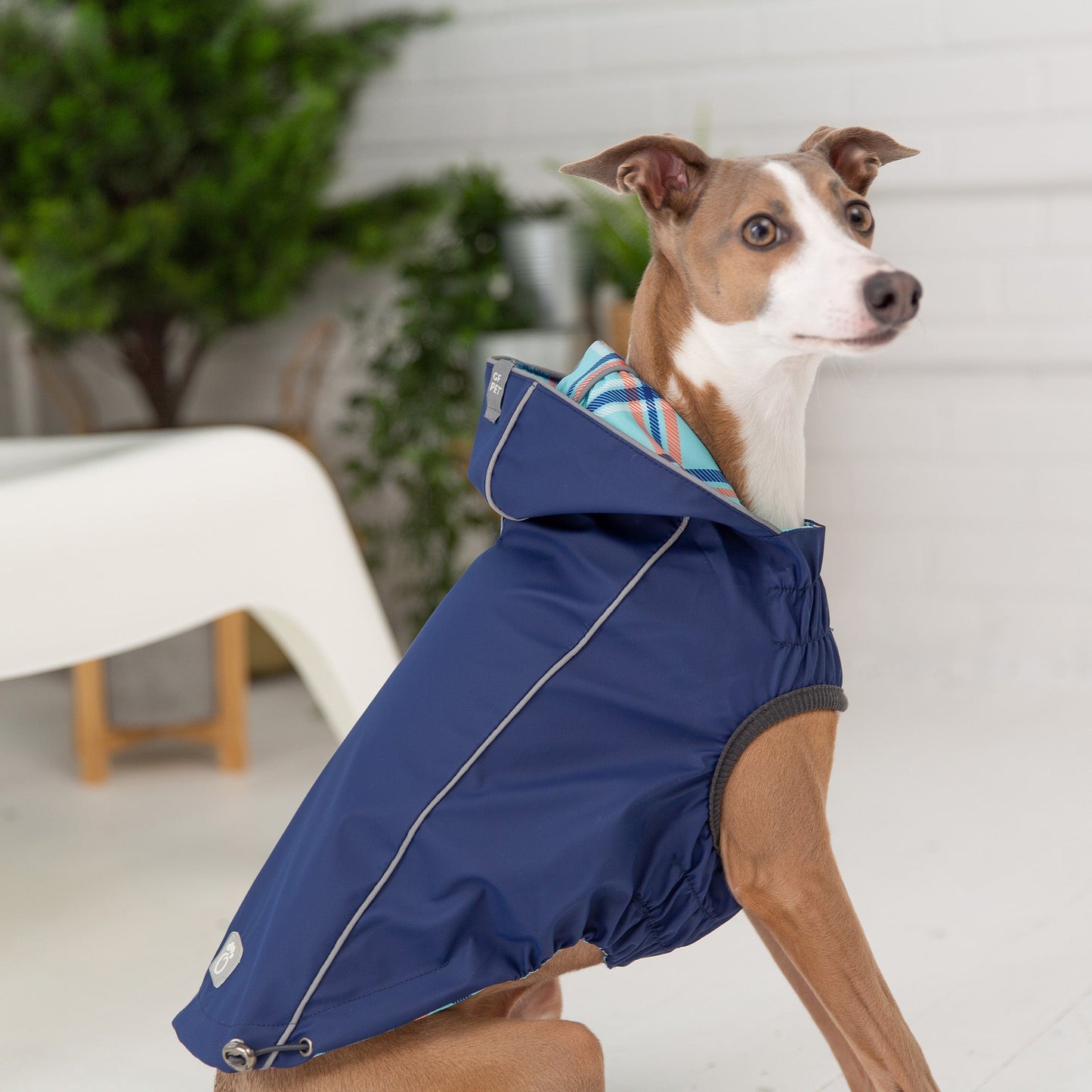 Reversible Elasto Fit Raincoat Navy Dog Raincoats Premium - gallery image 5
