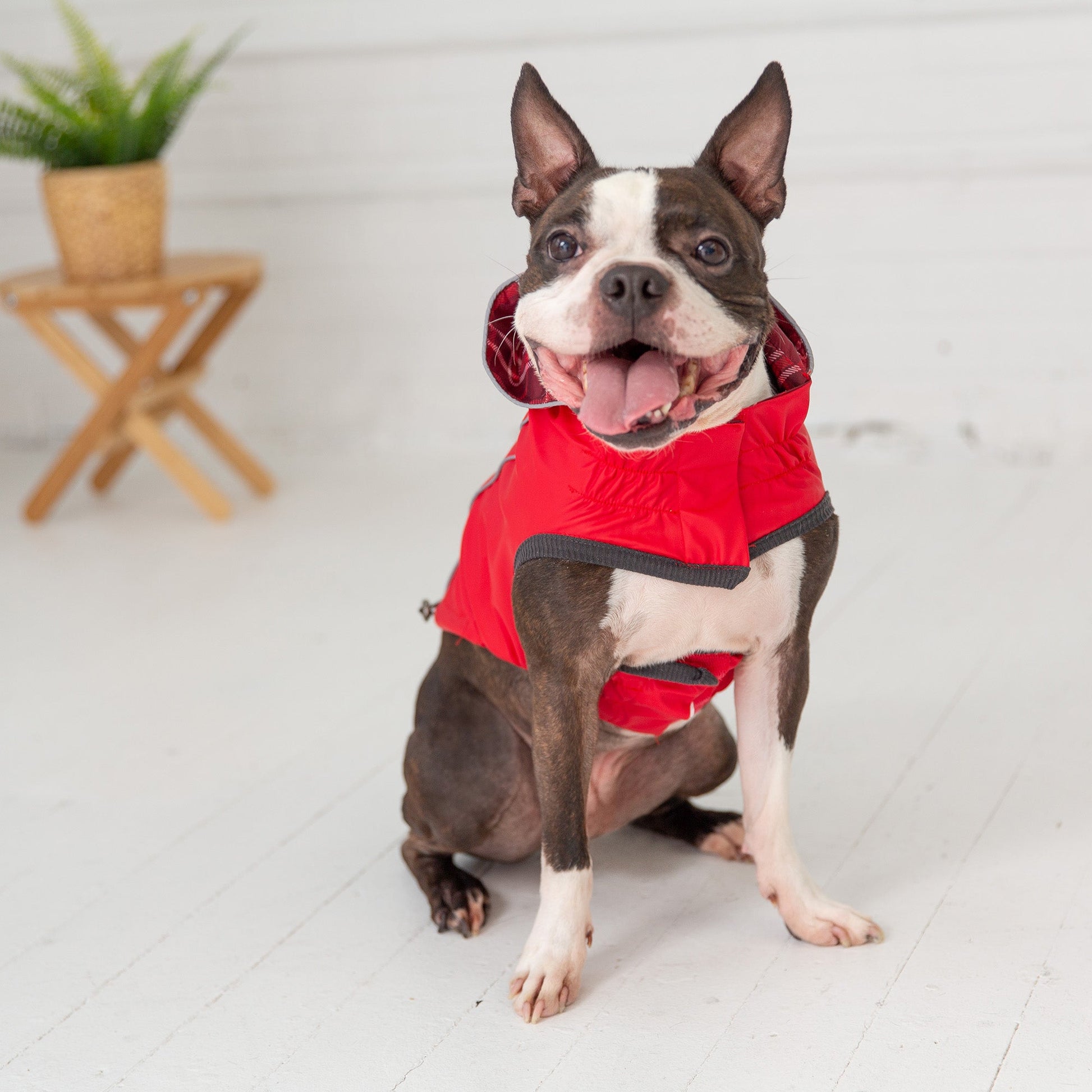 Reversible Elasto Fit Raincoat Red Dog Apparel Premium Pet - gallery image 6