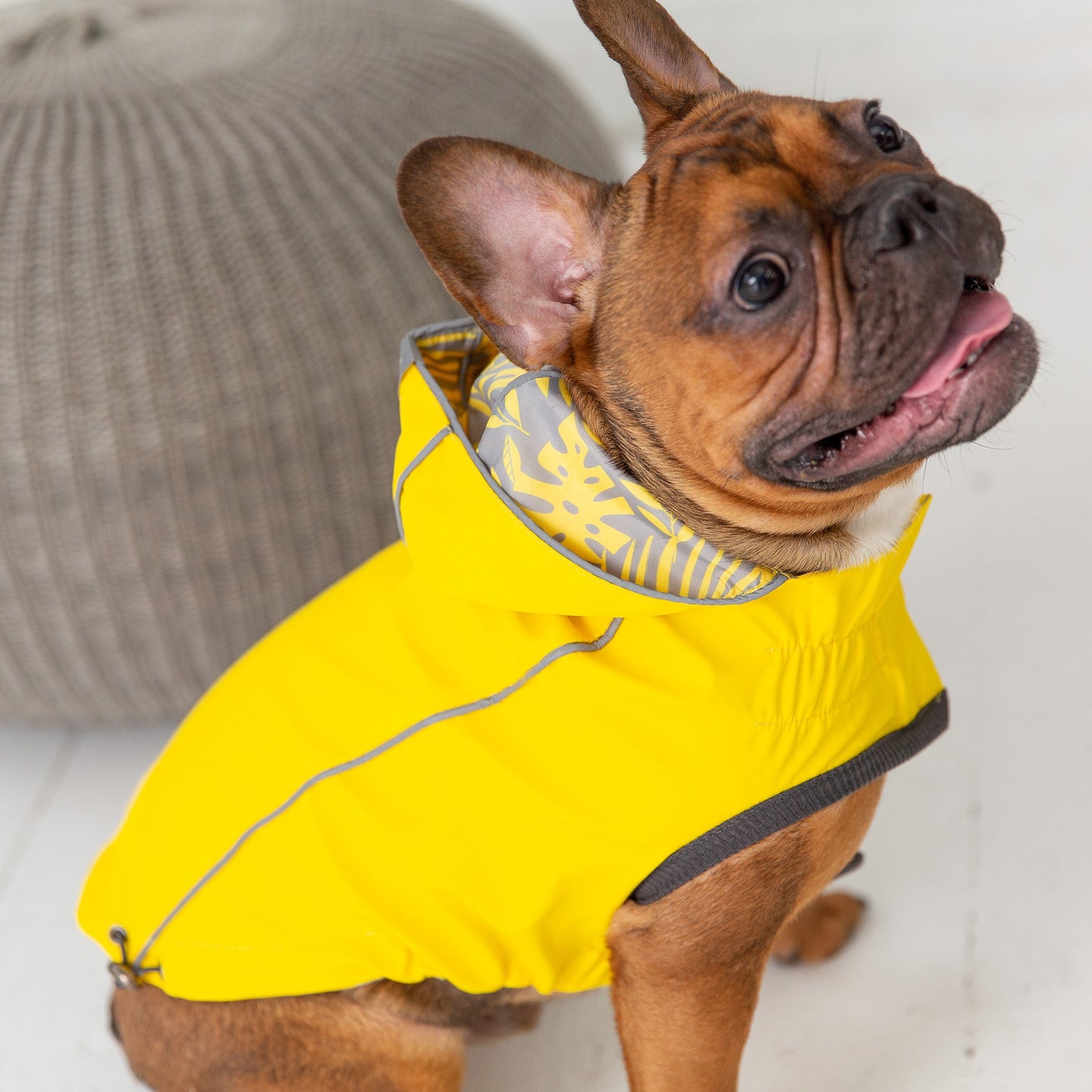 Reversible Elasto Fit Raincoat Yellow Dog Apparel Premium - gallery image 6