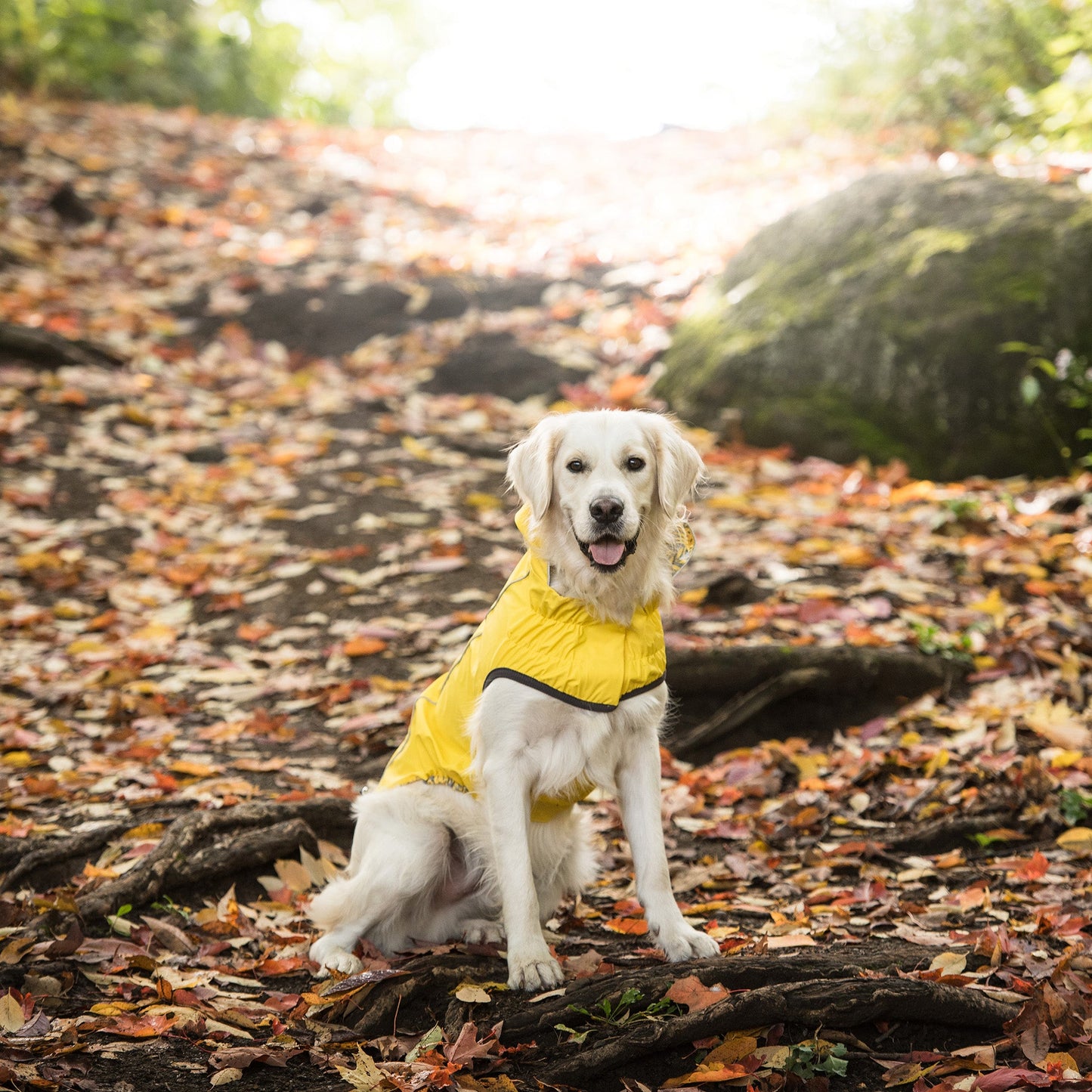 Reversible Elasto Fit Raincoat Yellow Dog Apparel Premium - gallery image 5