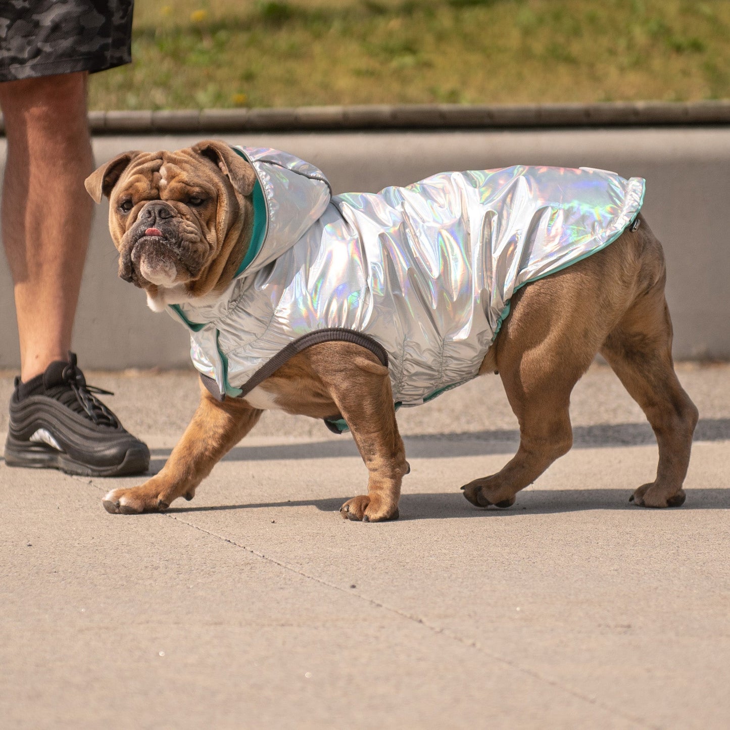 Reversible Raincoat Neon Aqua With Iridescent Dog Raincoats - gallery image 7