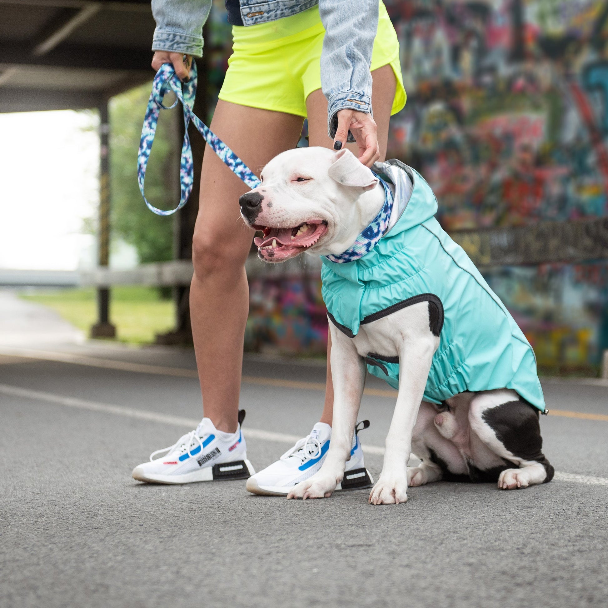 Reversible Raincoat Neon Aqua With Iridescent Dog Raincoats - gallery image 5