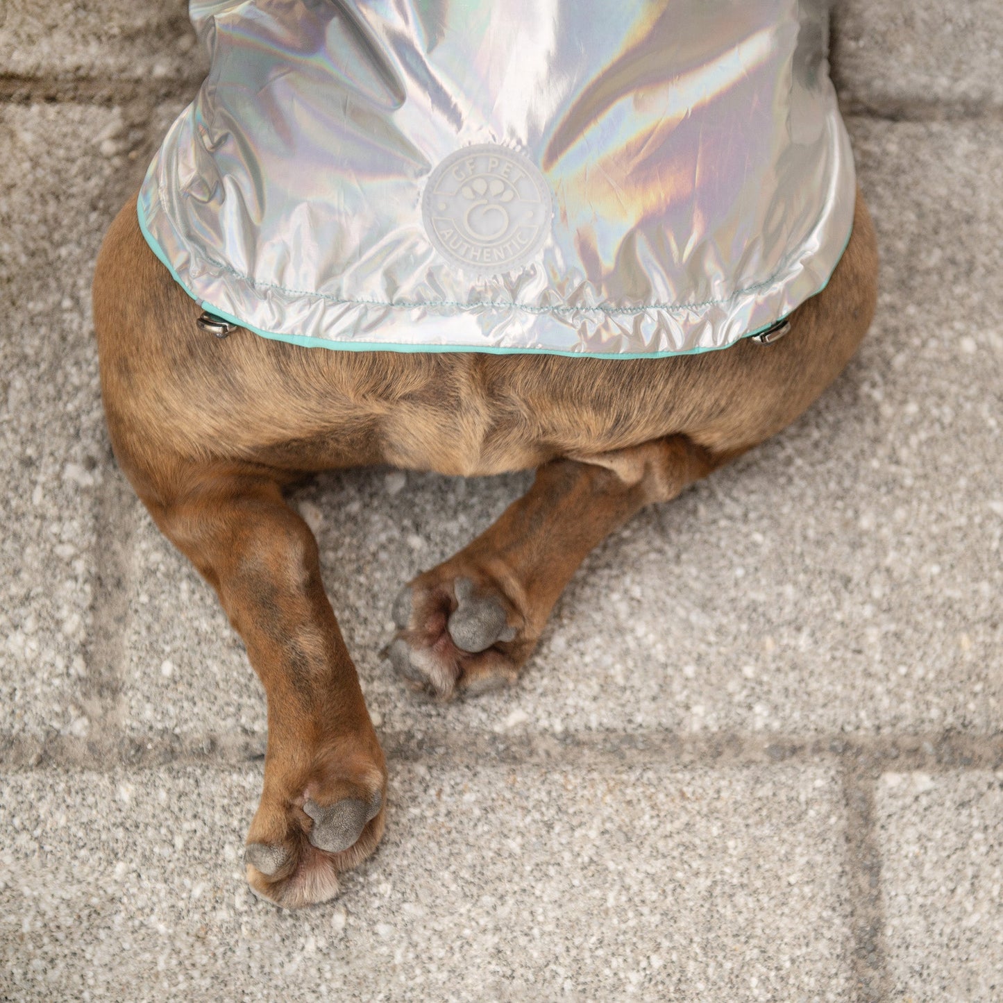 Reversible Raincoat Neon Aqua With Iridescent Dog Raincoats - gallery image 8