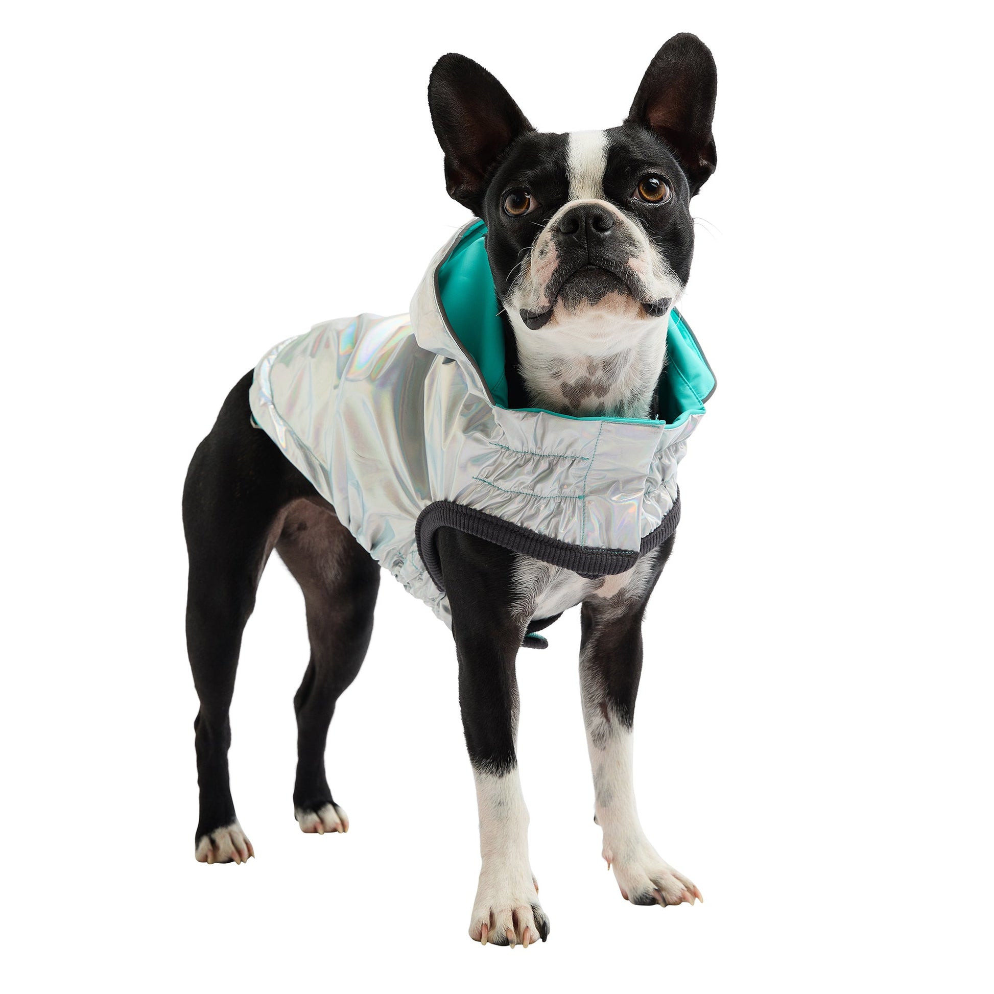 Reversible Raincoat Neon Aqua With Iridescent Dog Raincoats - close up view