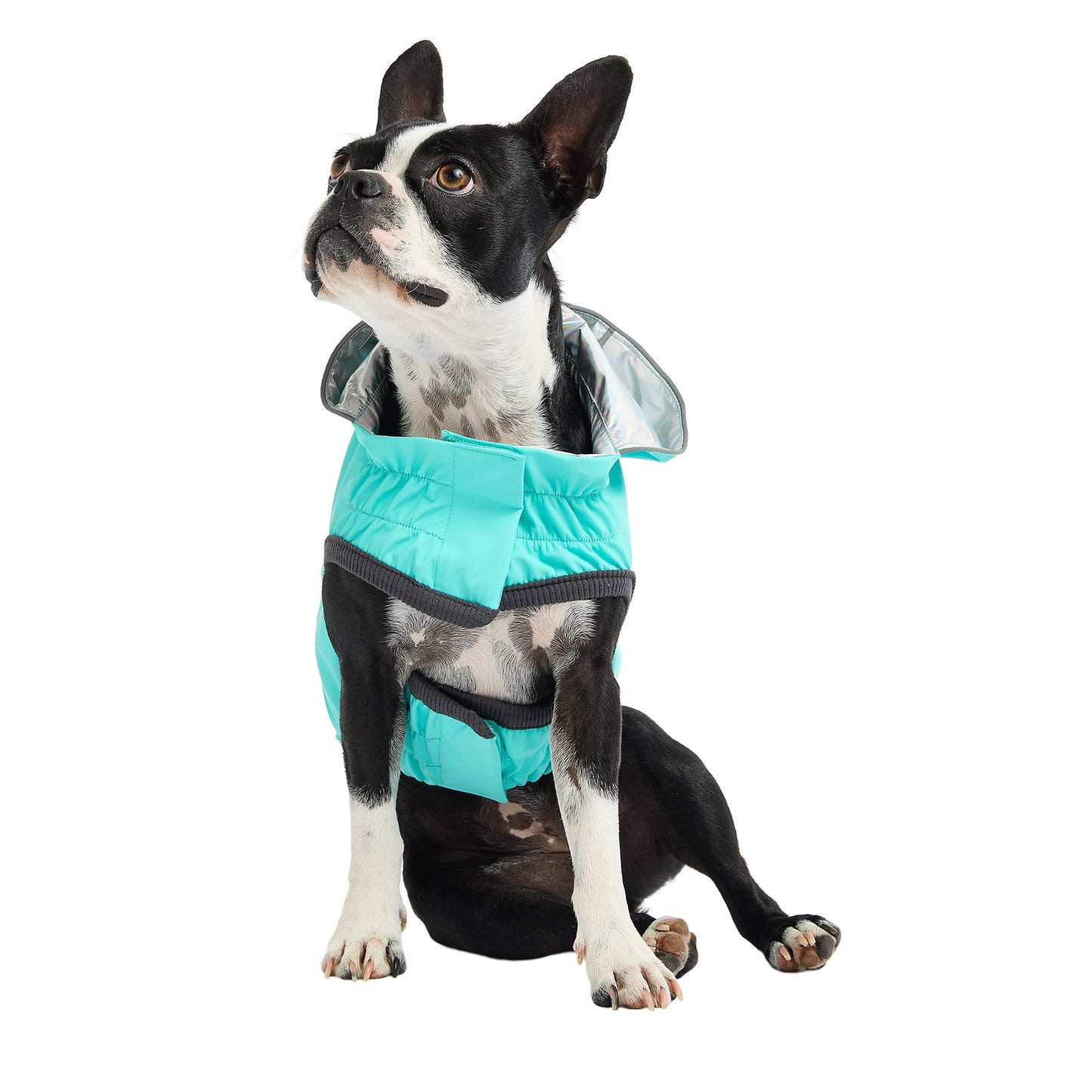 Reversible Raincoat Neon Aqua With Iridescent Dog Raincoats - detail view
