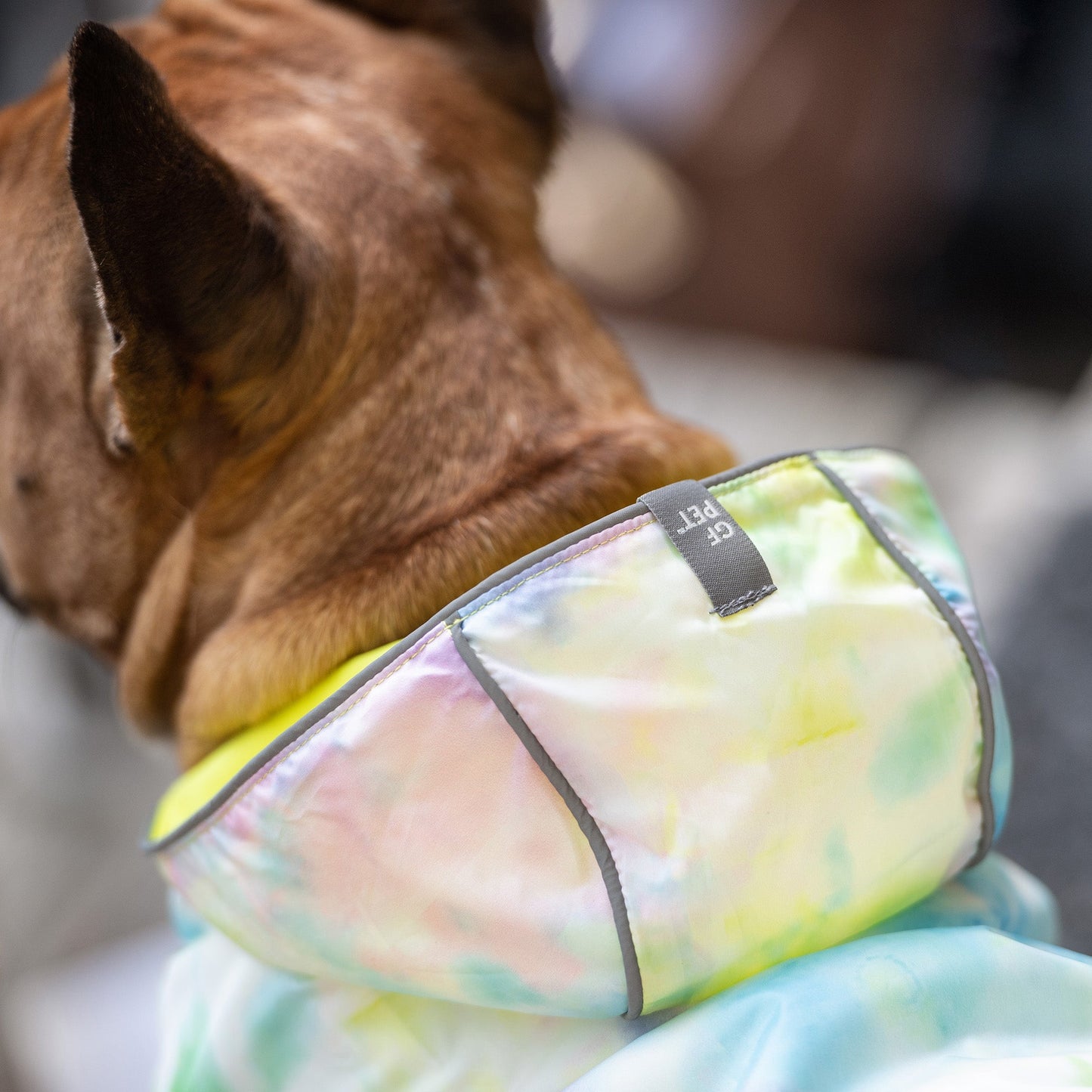Reversible Raincoat Neon Yellow With Tie Dye Dog Raincoats - gallery image 6