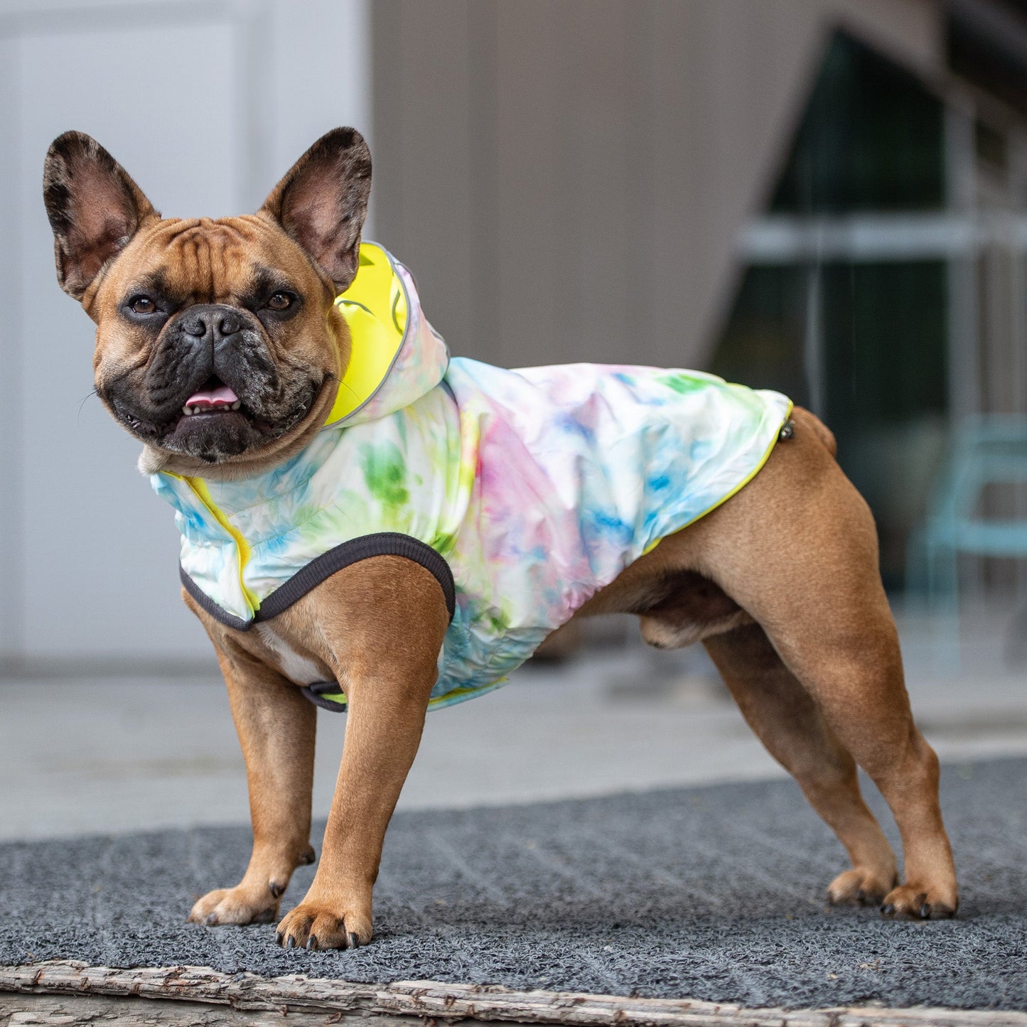 Reversible Raincoat Neon Yellow With Tie Dye Dog Raincoats - gallery image 7