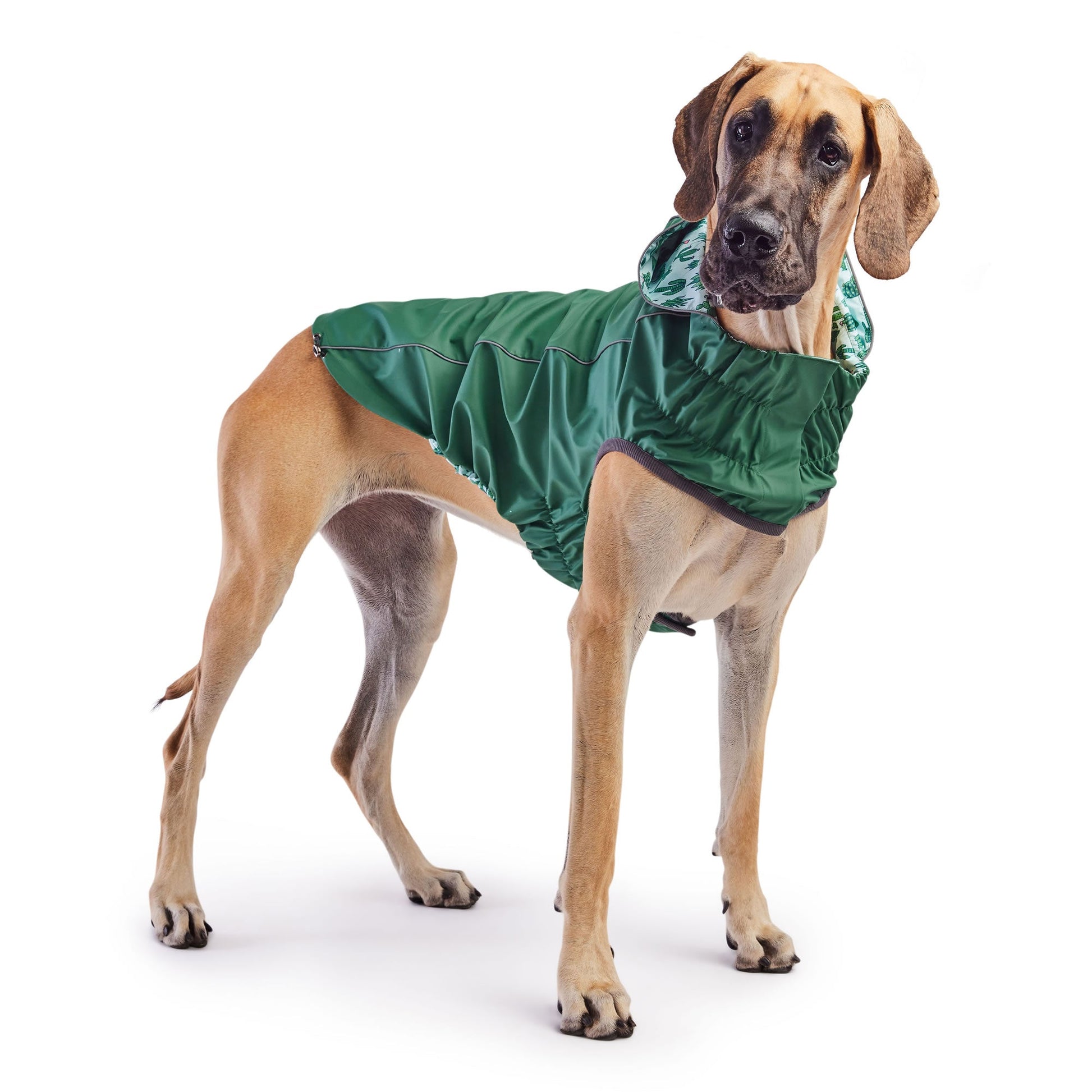 Reversible Elasto Fit Raincoat Green Green Dog Raincoats Pet - gallery image 5