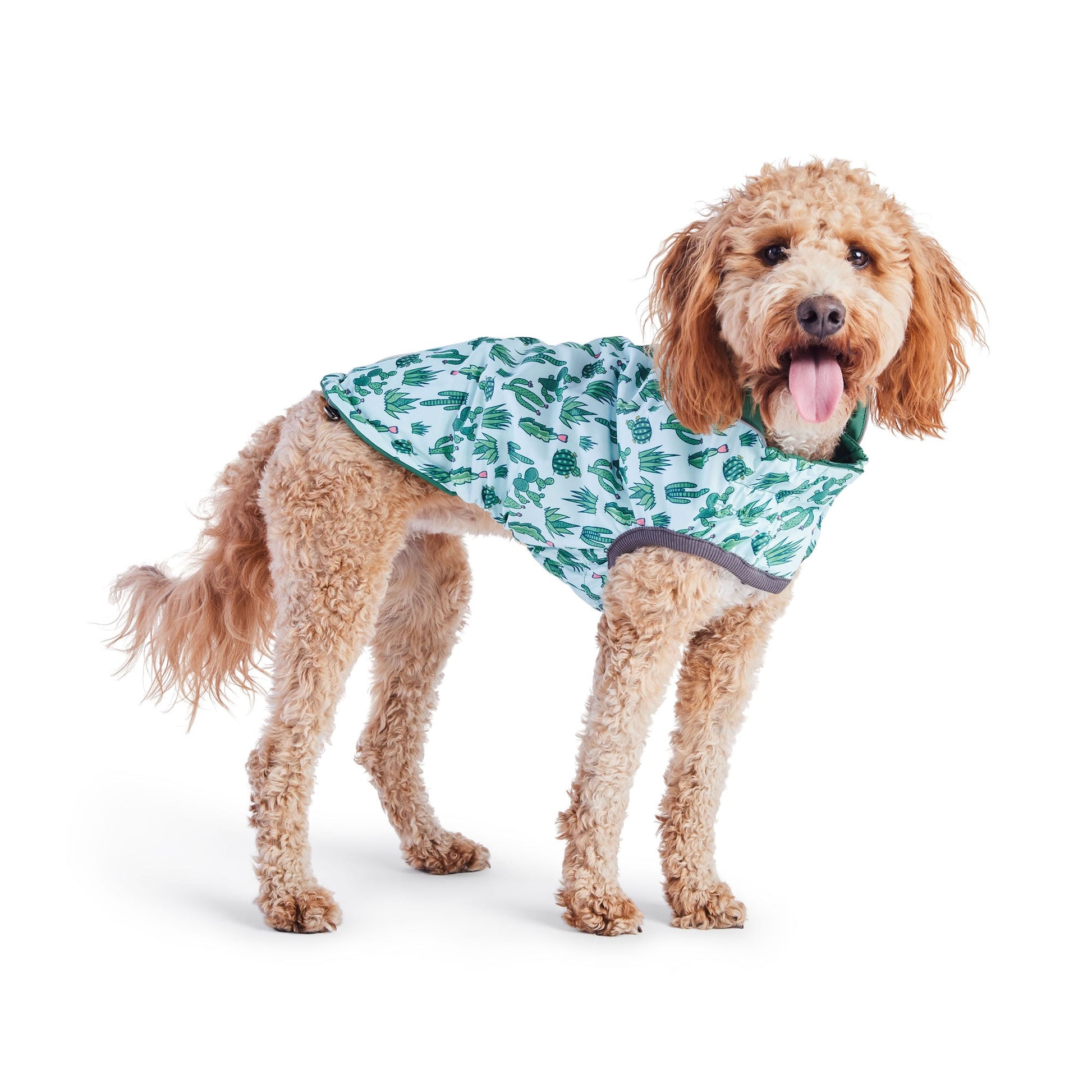 Reversible Elasto Fit Raincoat Green Green Dog Raincoats Pet - close up view