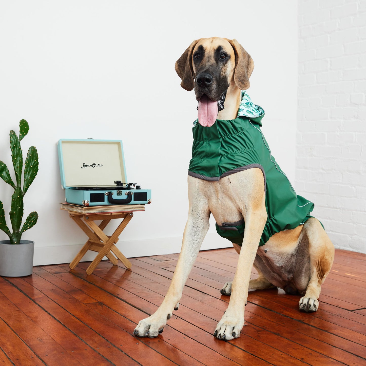 Reversible Elasto Fit Raincoat Green Green Dog Raincoats Pet - gallery image 9