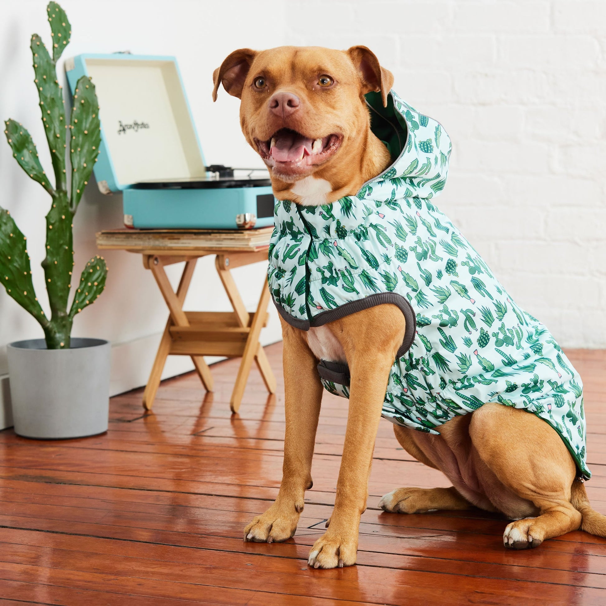 Reversible Elasto Fit Raincoat Green Green Dog Raincoats Pet - gallery image 8