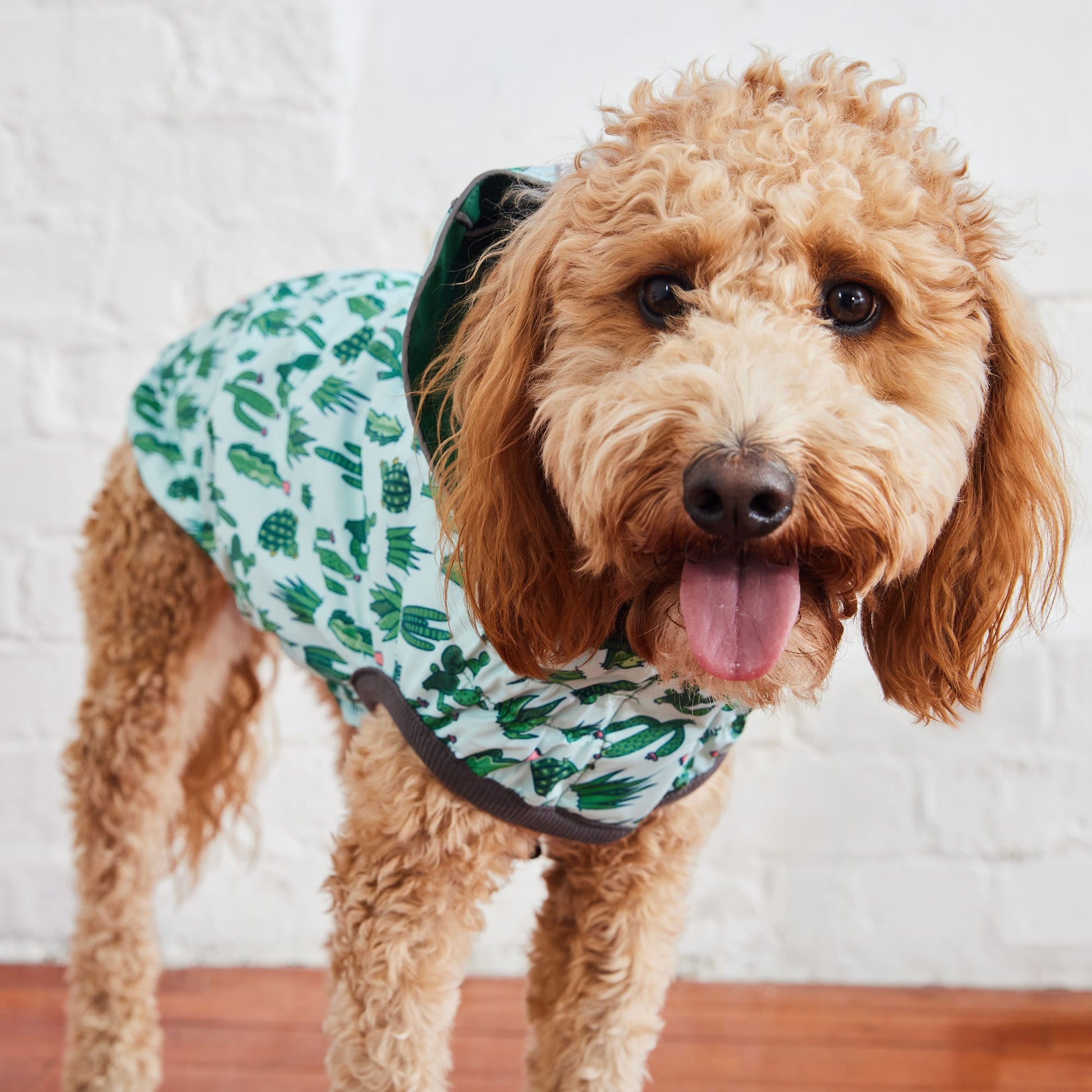 Reversible Elasto Fit Raincoat Green Green Dog Raincoats Pet - gallery image 7
