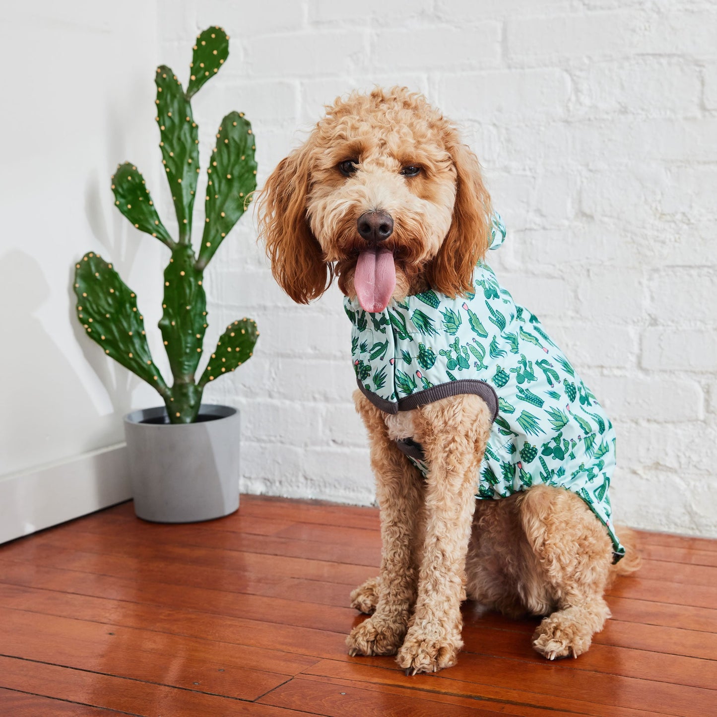 Reversible Elasto Fit Raincoat Green Green Dog Raincoats Pet - gallery image 6